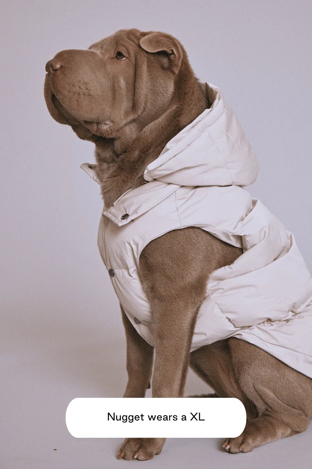Dog Jacket - Sub - Zero Puffer Beige - Maxbone - La Maison Mou