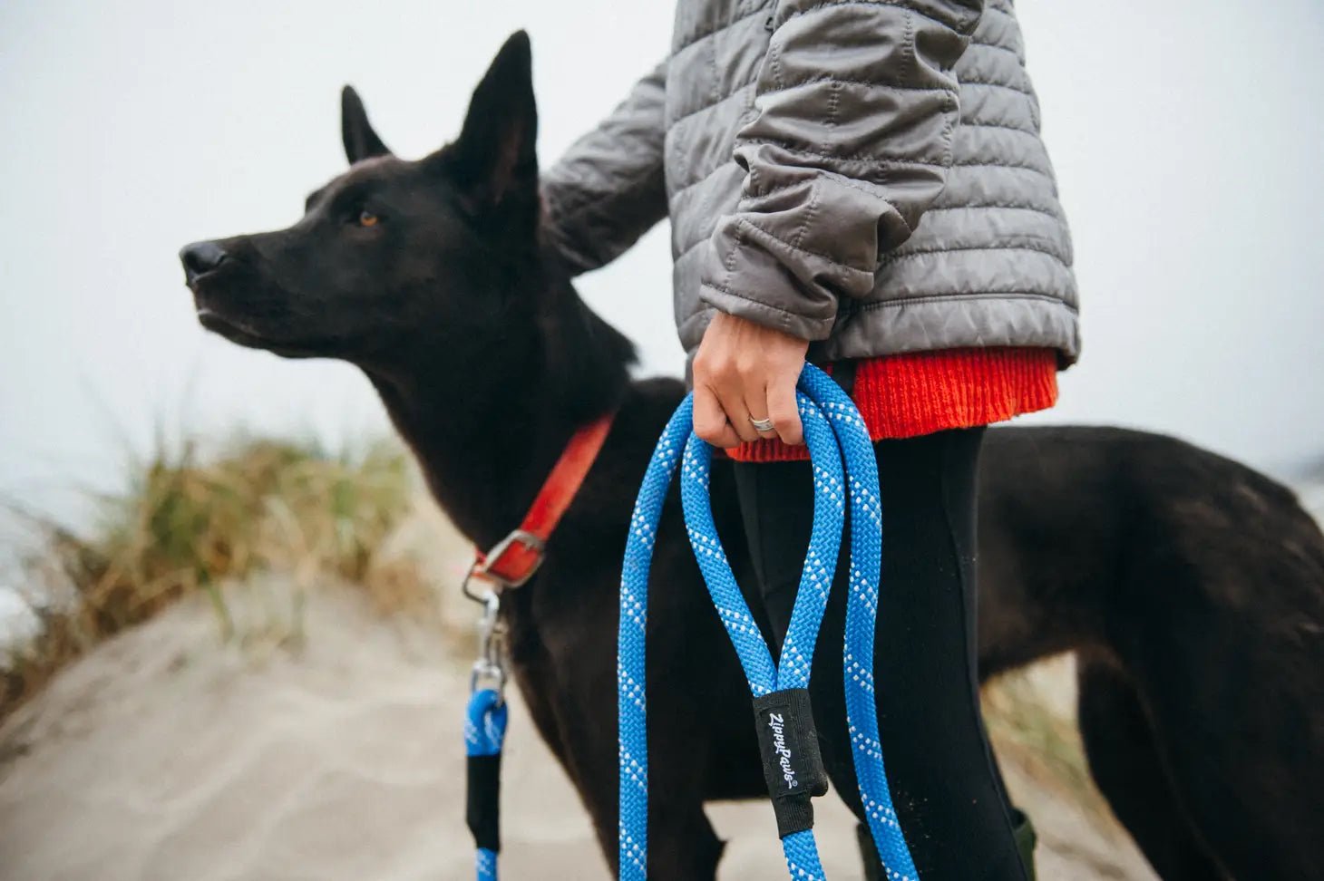 Dog Leash - Climbers Original 6 Ft Black - ZippyPaws - La Maison Mou