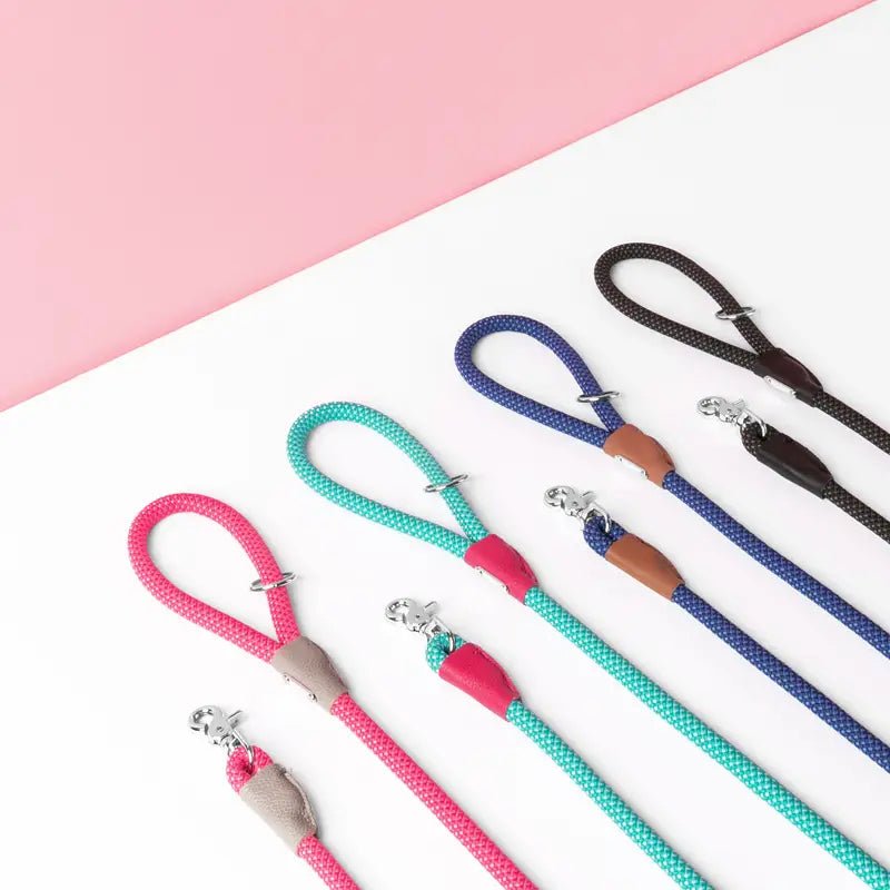 Dog Leash - Mod Essentials Aqua - ZippyPaws - La Maison Mou