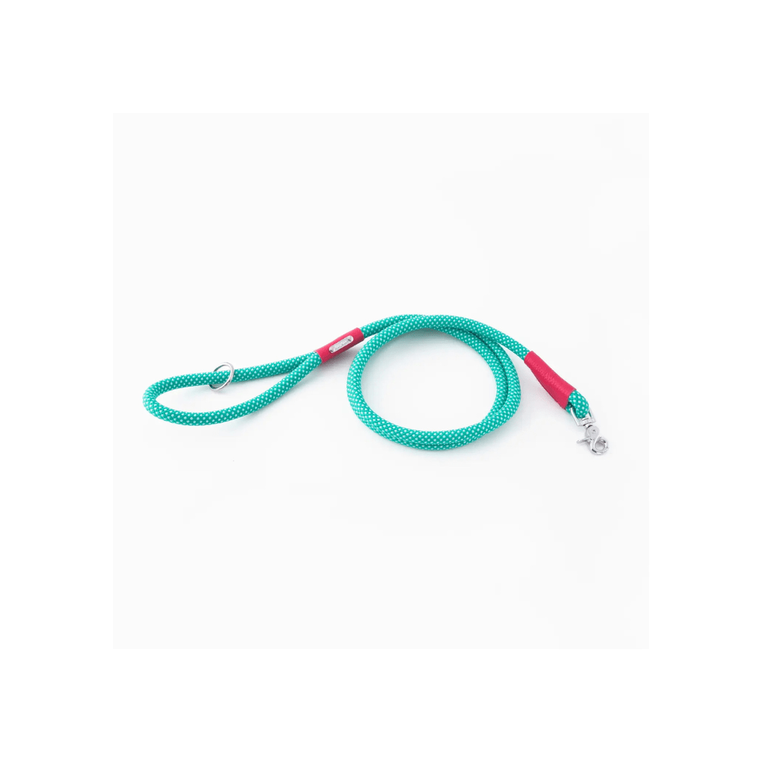 Dog Leash - Mod Essentials Aqua - ZippyPaws - La Maison Mou