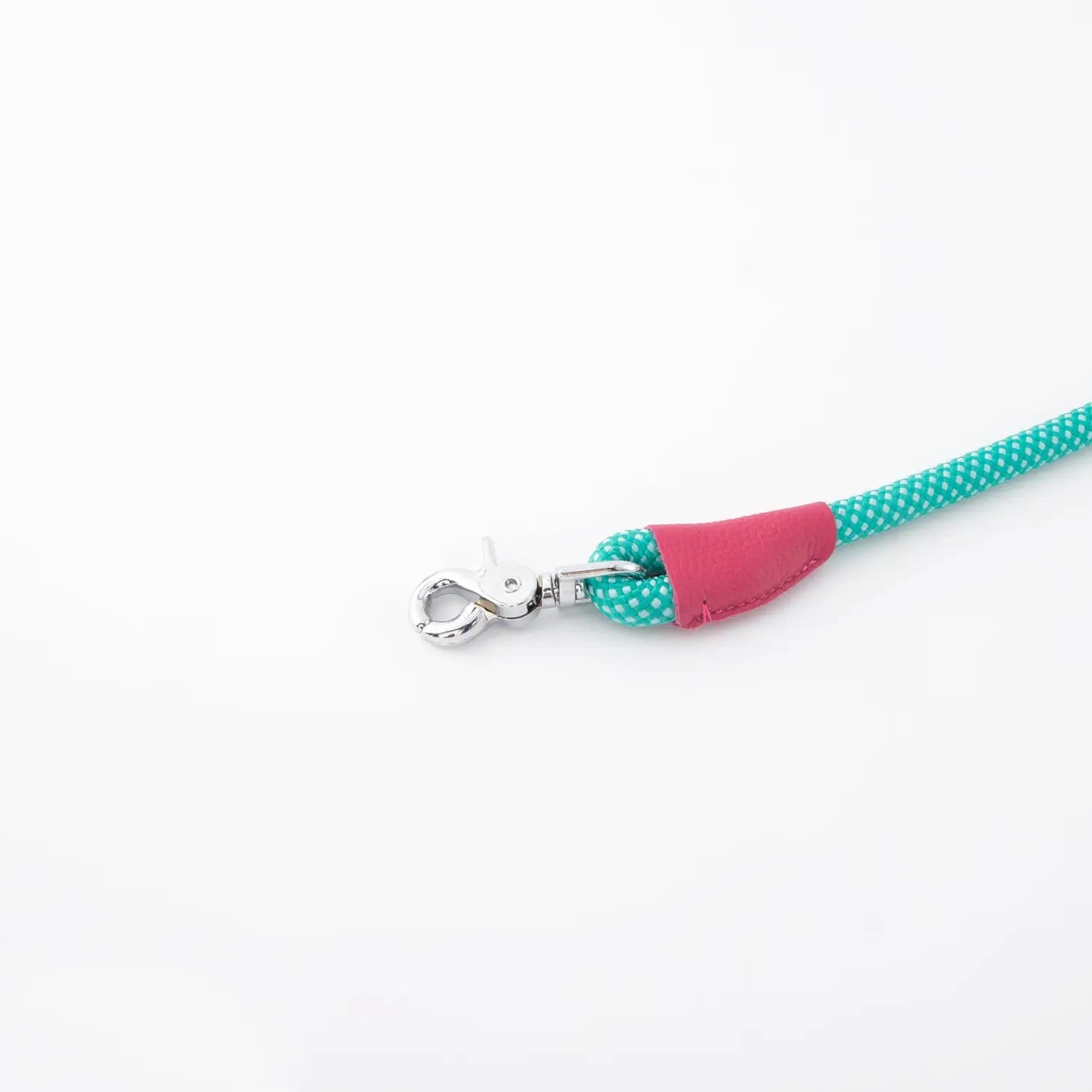Dog Leash - Mod Essentials Aqua - ZippyPaws - La Maison Mou