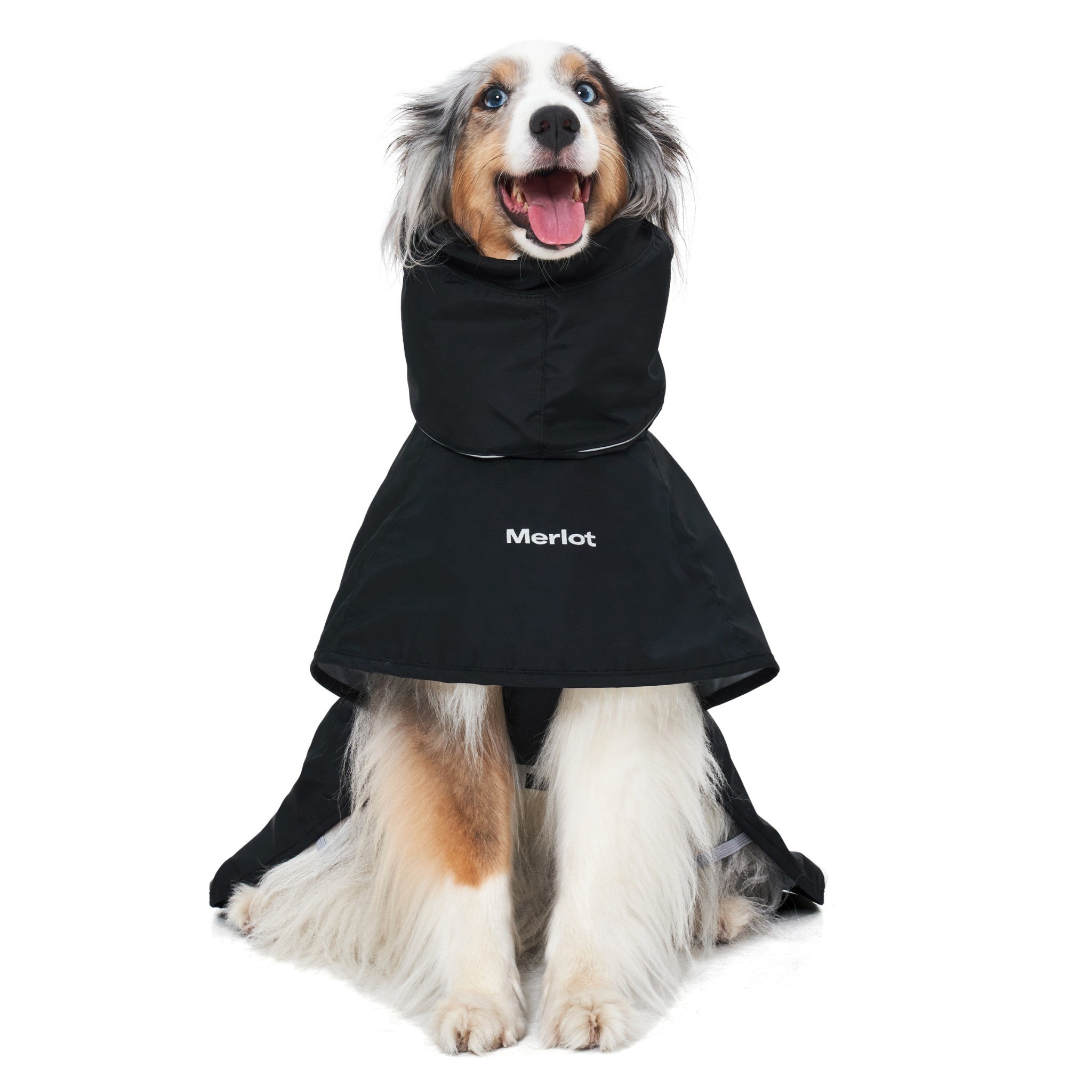 Dog Raincoat - Ain™ Coat Black - Merlot - La Maison Mou