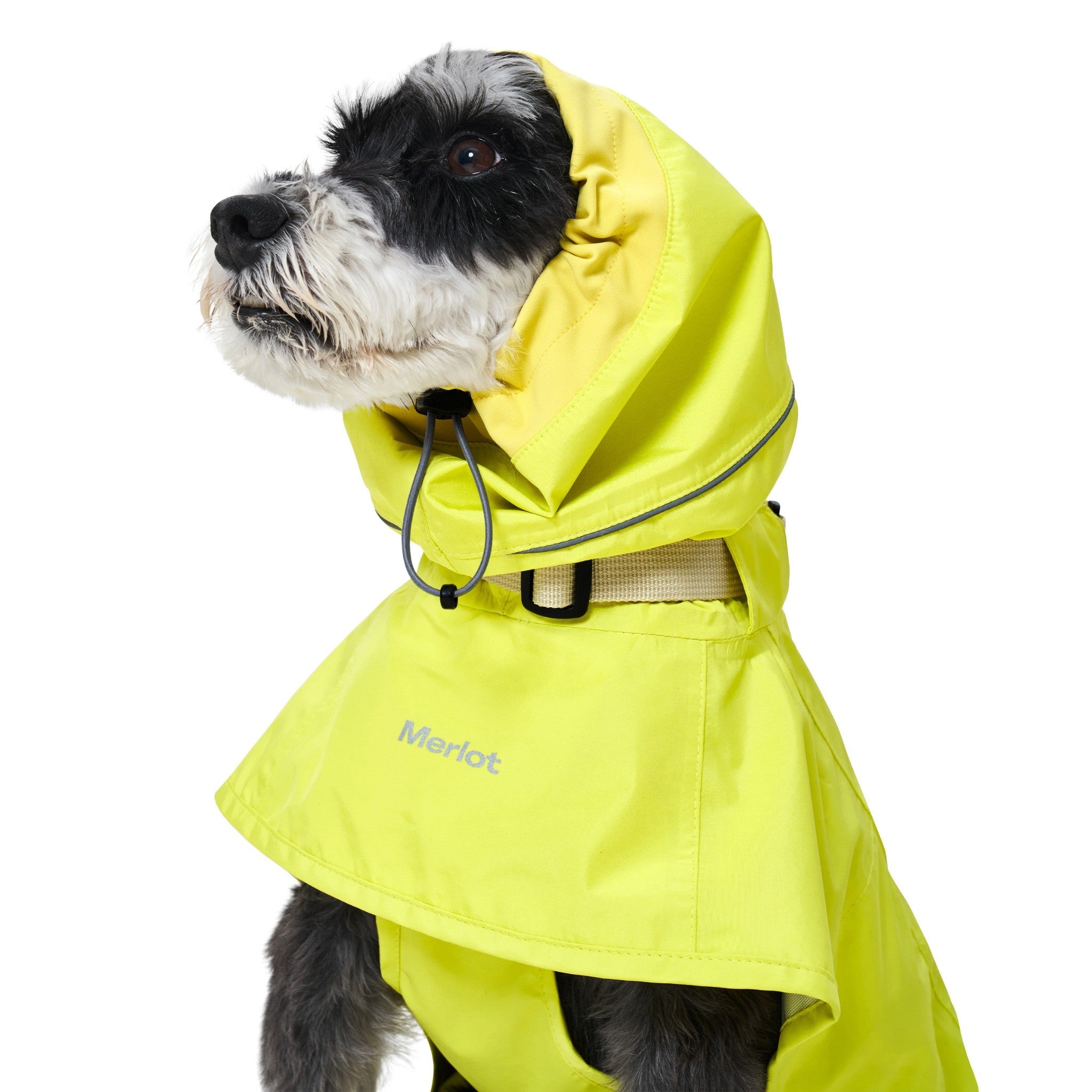Dog Raincoat - Ain™ Coat Lemon - Merlot - La Maison Mou