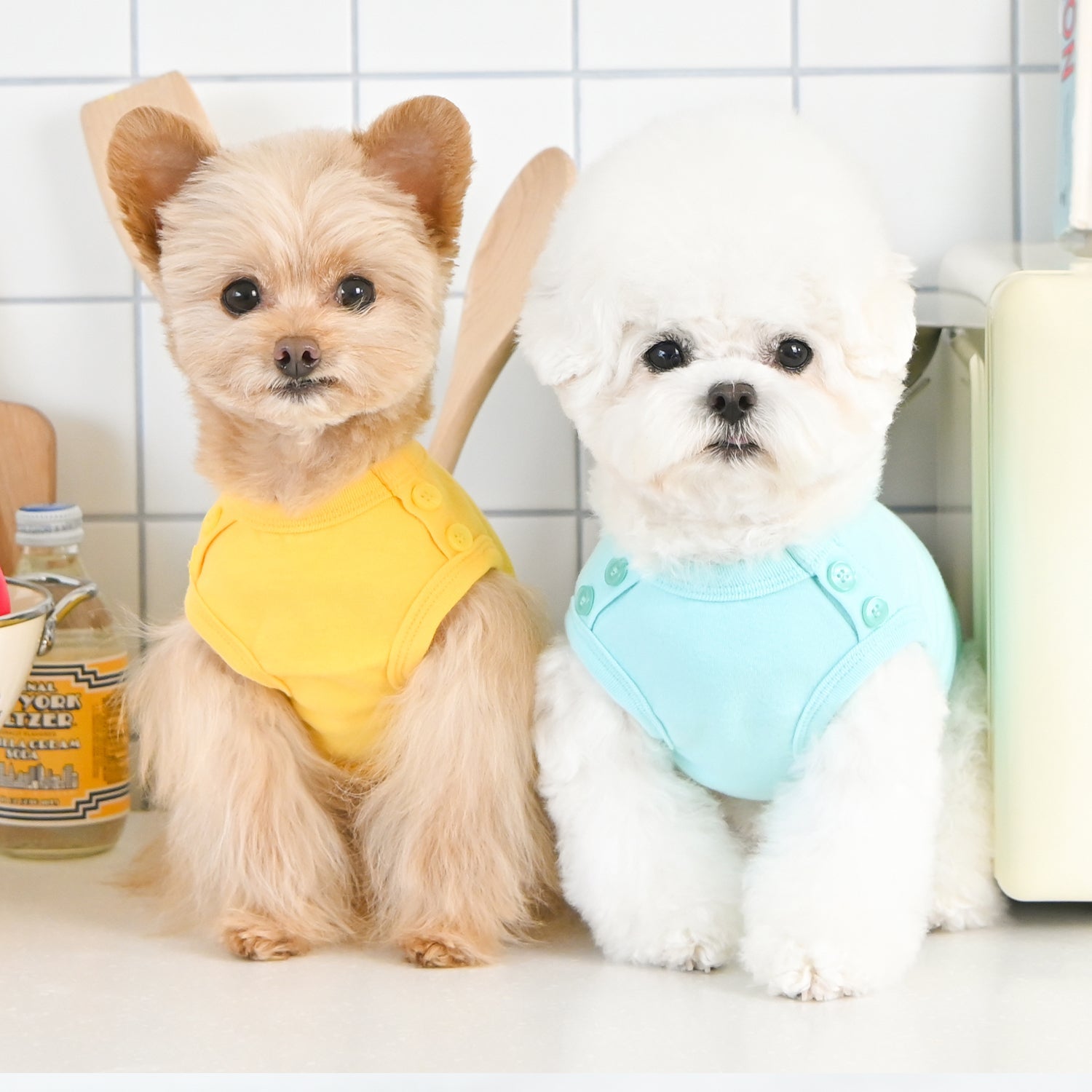 Dog Shirt - Paws OAVA Sky Blue - Olchi - La Maison Mou