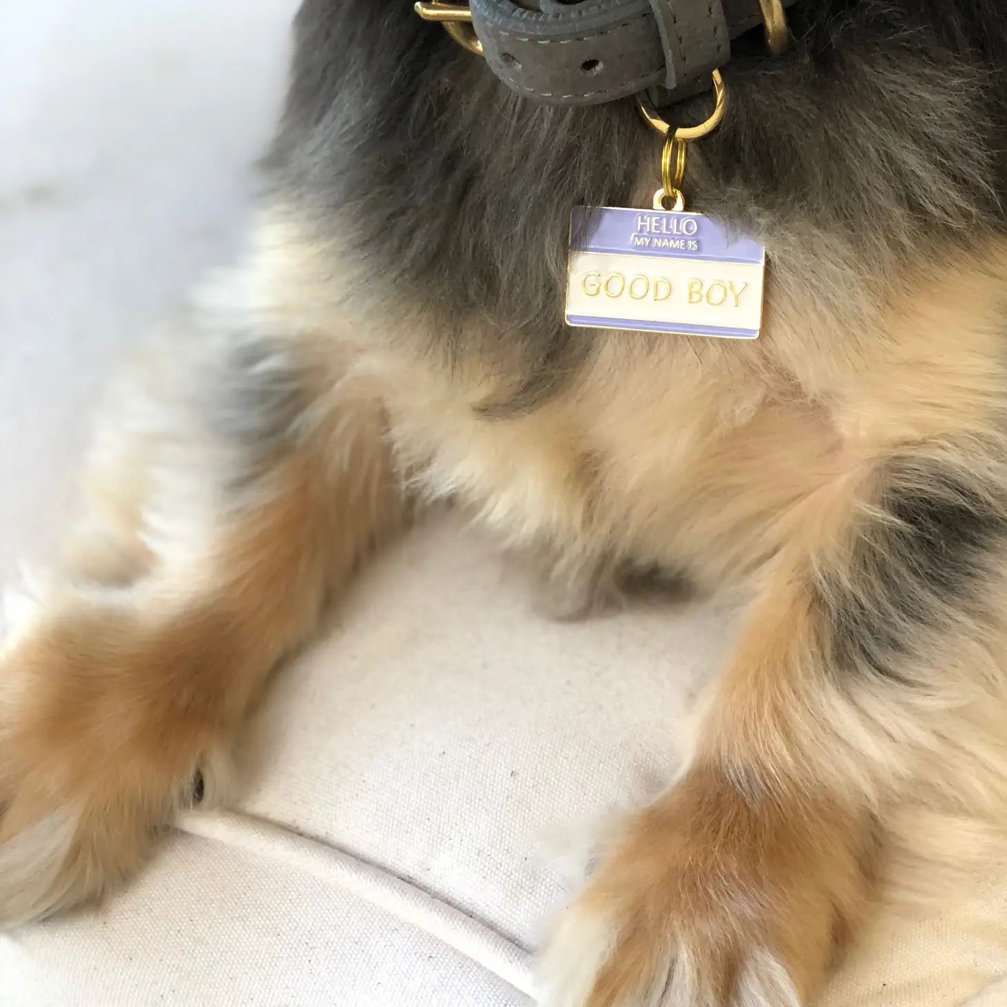Dog Tag - Good Boy - Two Tails - La Maison Mou