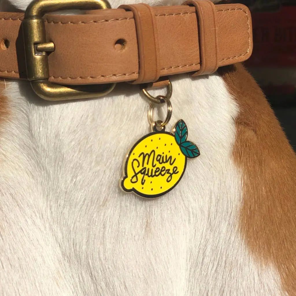 Dog Tag - Main Squeeze - Two Tails - La Maison Mou