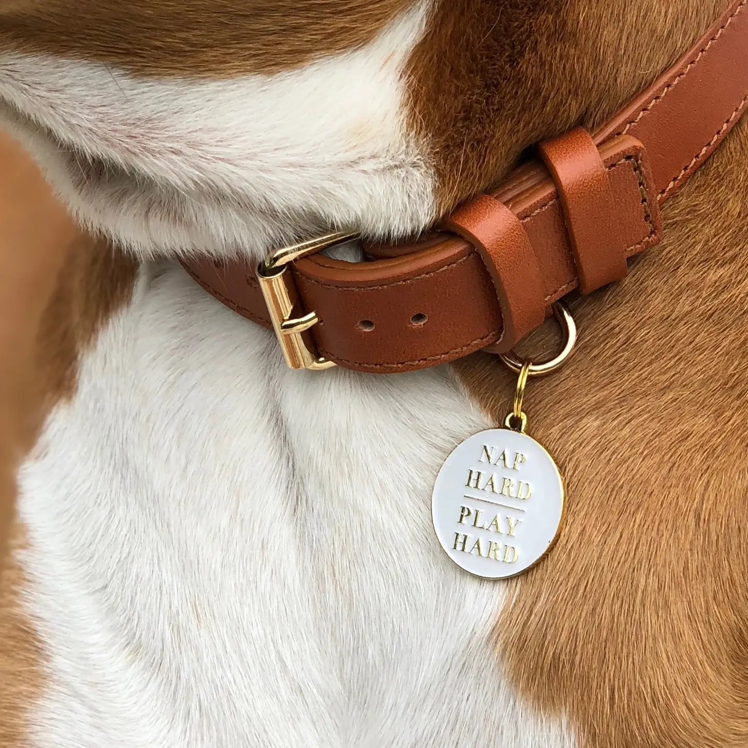 Dog Tag - Nap Hard Play Hard - Two Tails - La Maison Mou