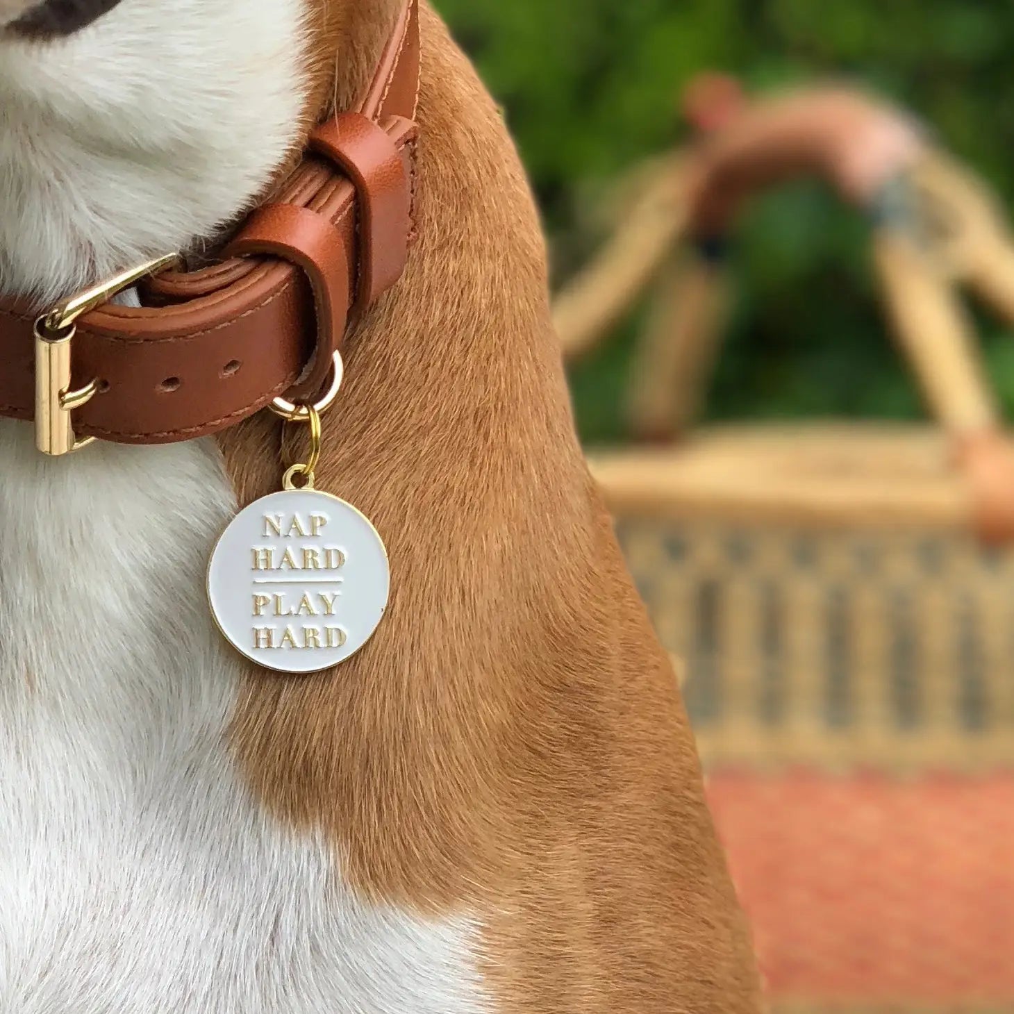 Dog Tag - Nap Hard Play Hard - Two Tails - La Maison Mou