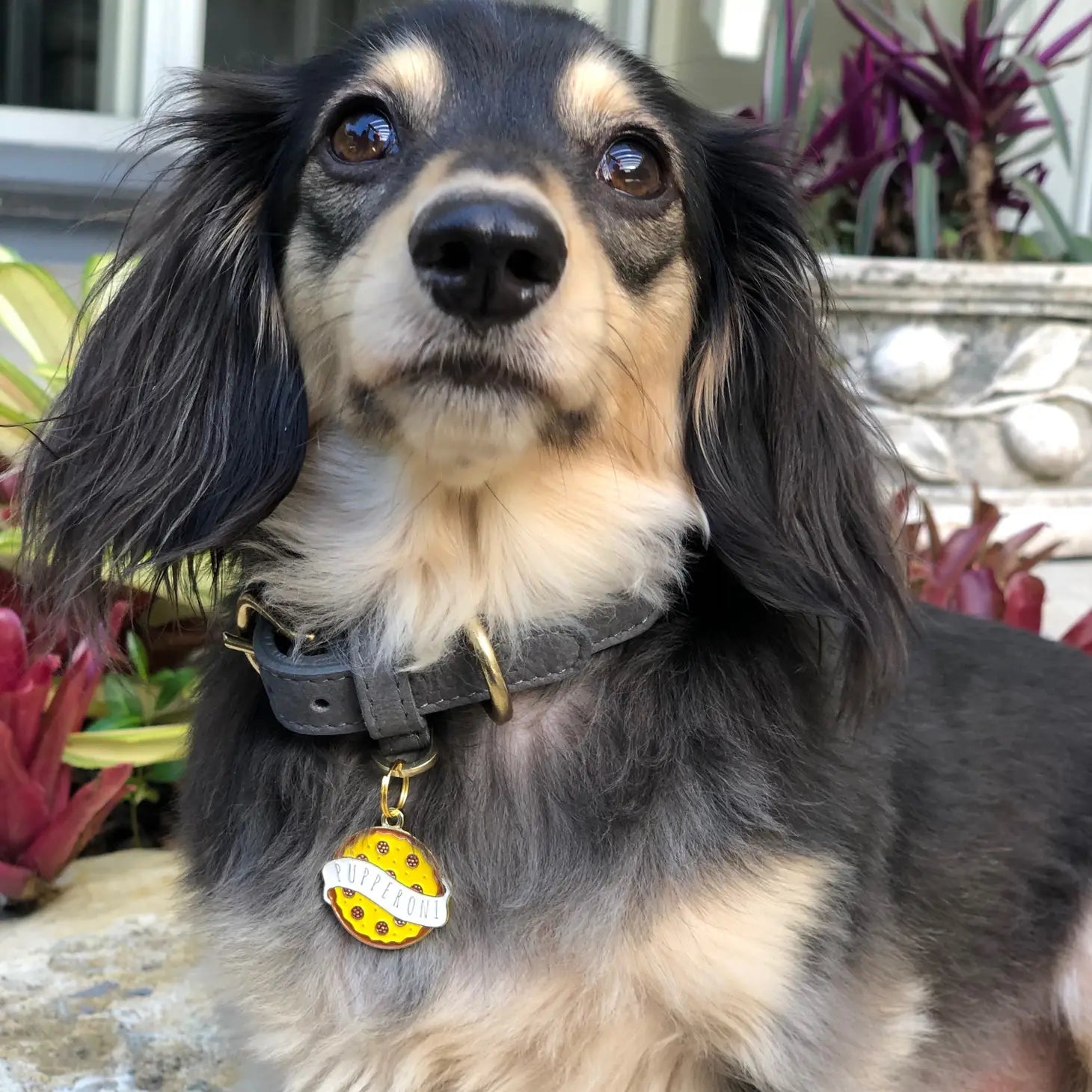 Dog Tag - Pupperoni - Two Tails - La Maison Mou