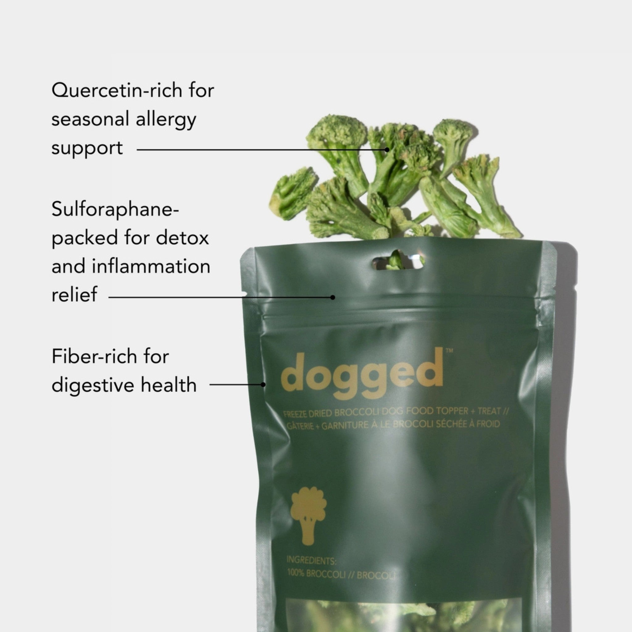 An informational product graphic of the Dogged broccoli pet treat pouch with text pointers outlining health benefits, including quercetin-rich seasonal allergy support, sulforaphane-packed detox and inflammation relief, and fiber-rich digestive health support.
