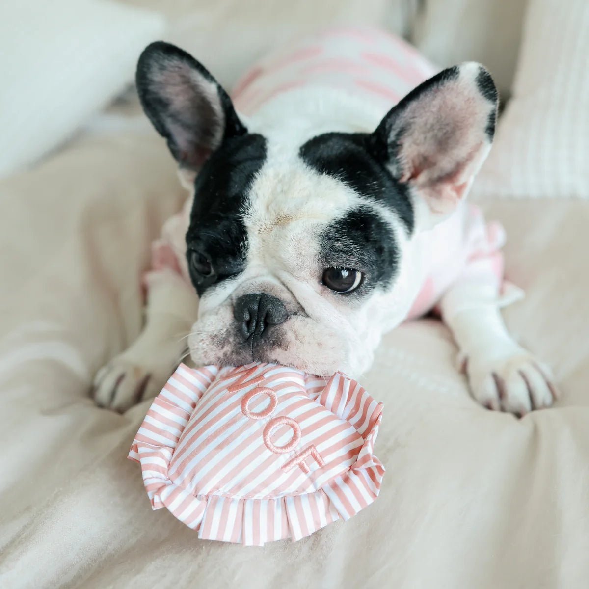 Enrichement Dog Toy - Sweetheart - Lambwolf Collective - La Maison Mou