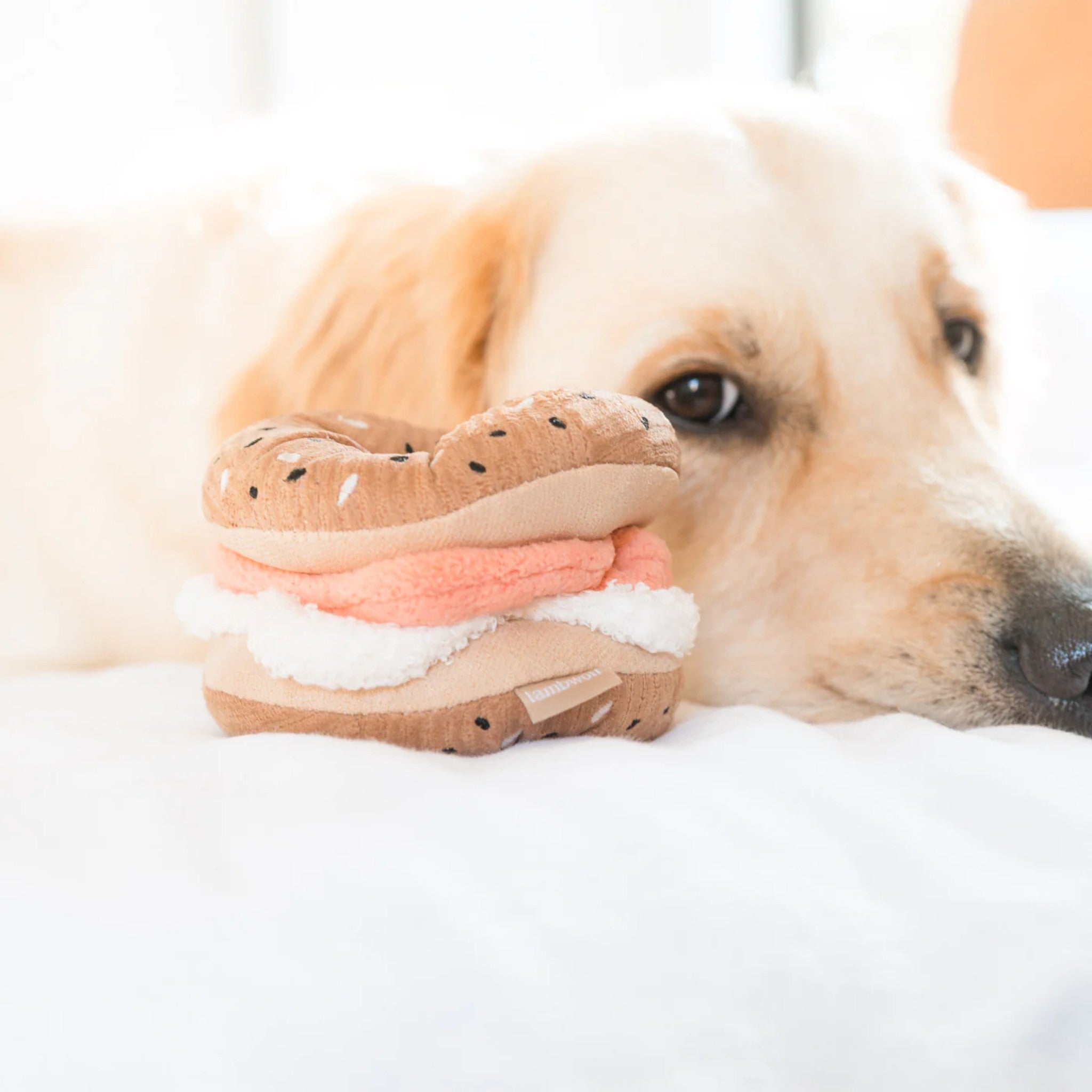 Enrichment Dog Toy - Bagel + Pickle - Lambwolf Collective - La Maison Mou