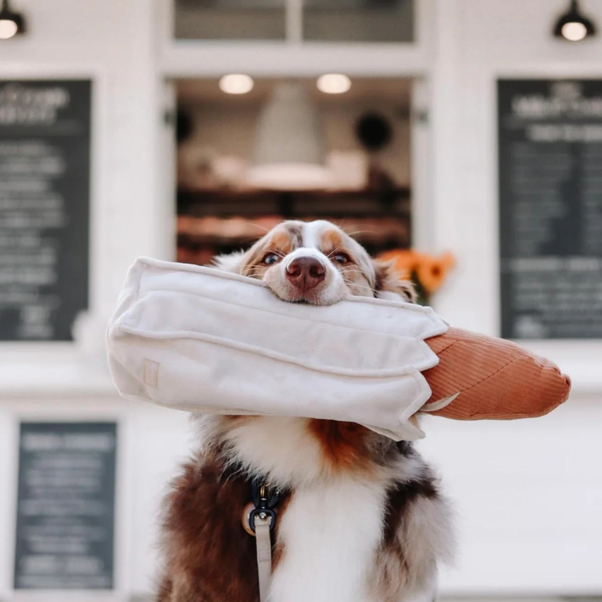Enrichment Dog Toy - Baguette - Lambwolf Collective - La Maison Mou