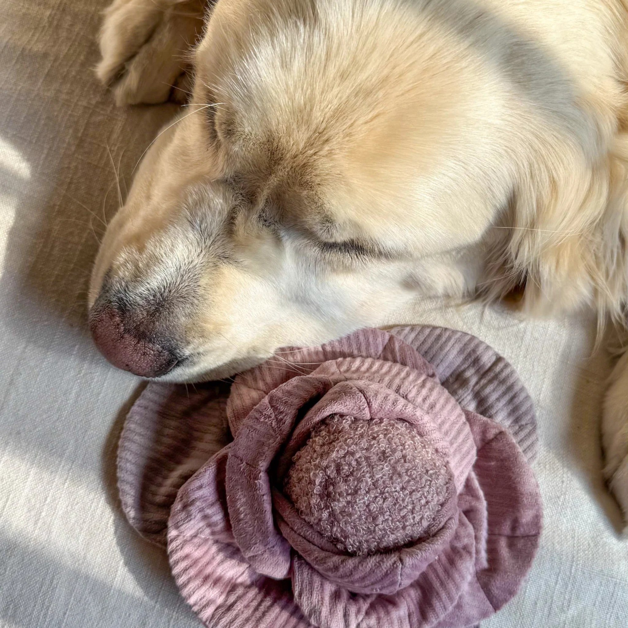 Enrichment Dog Toy - Cabbage Pop Red - Lambwolf Collective - La Maison Mou