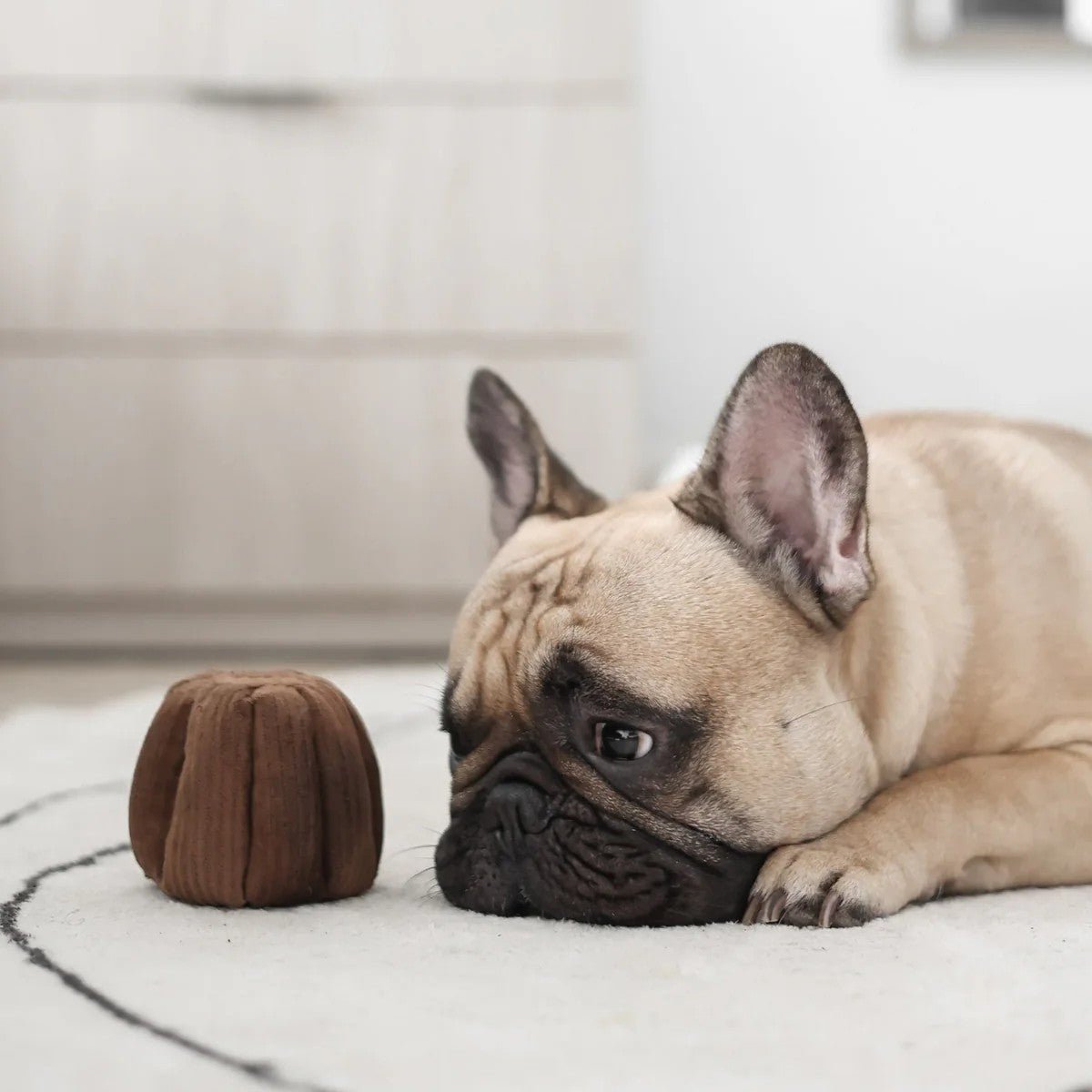 Enrichment Dog Toy - Canele - Lambwolf Collective - La Maison Mou