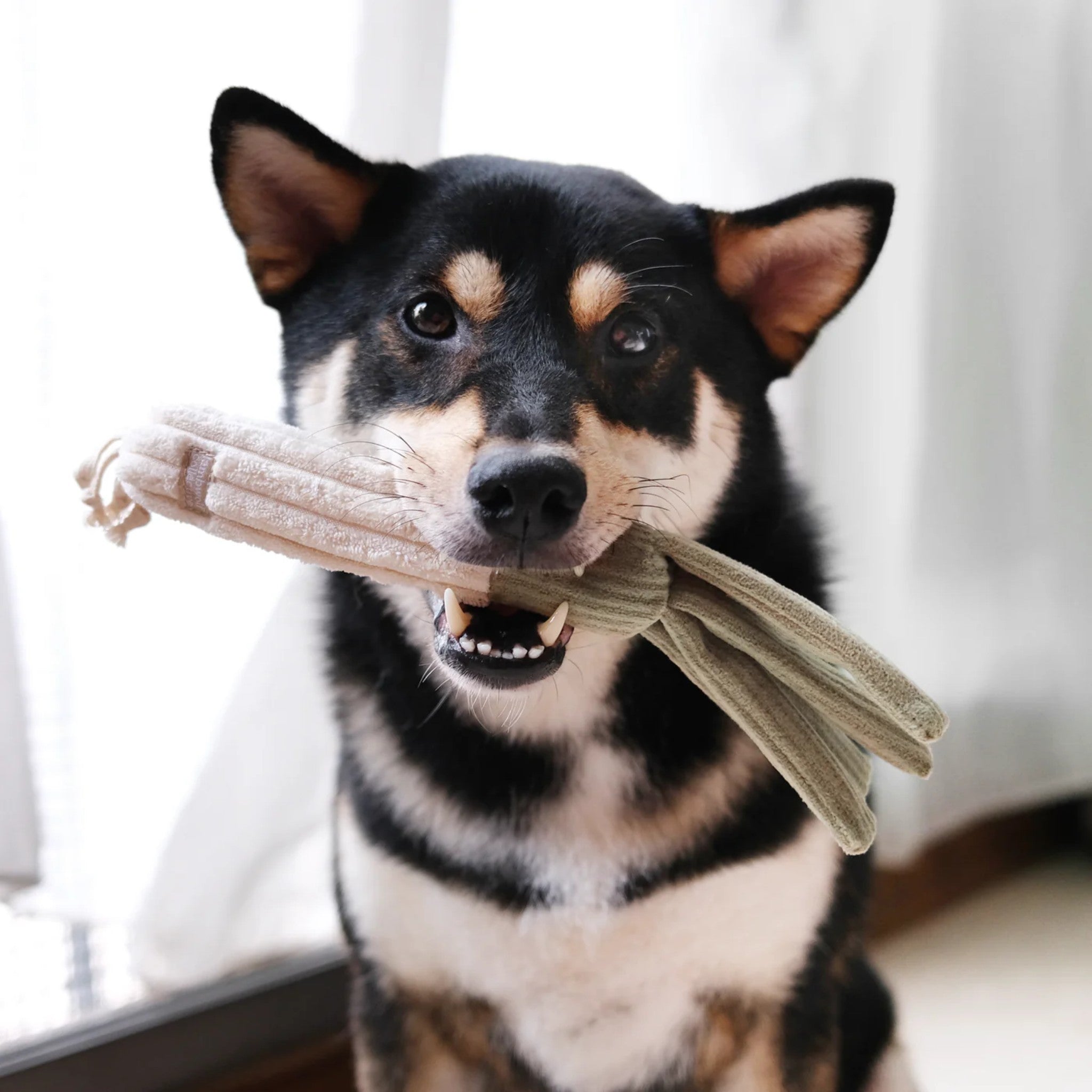 Enrichment Dog Toy - Corn And Leek Set - Lambwolf Collective - La Maison Mou