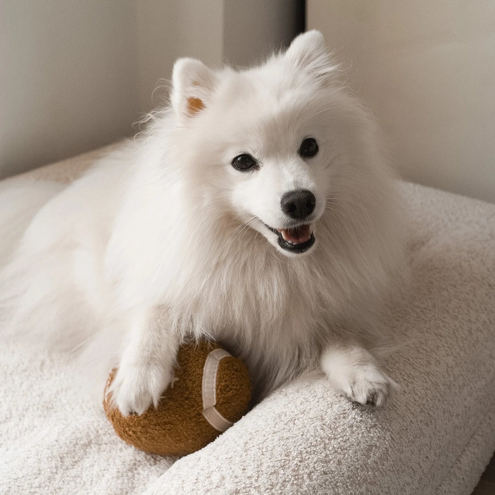 Enrichment Dog Toy - Football - Lambwolf Collective - La Maison Mou