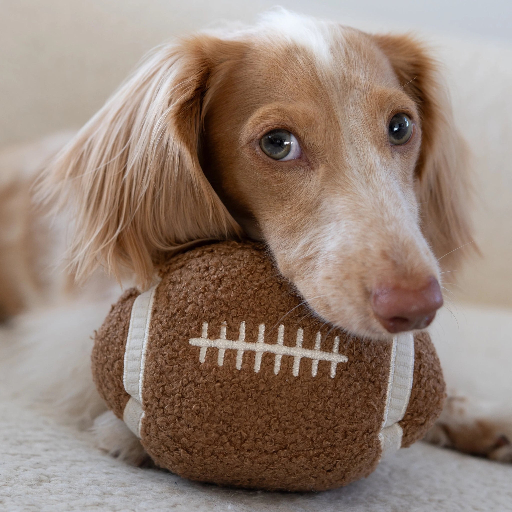 Enrichment Dog Toy - Football - Lambwolf Collective - La Maison Mou