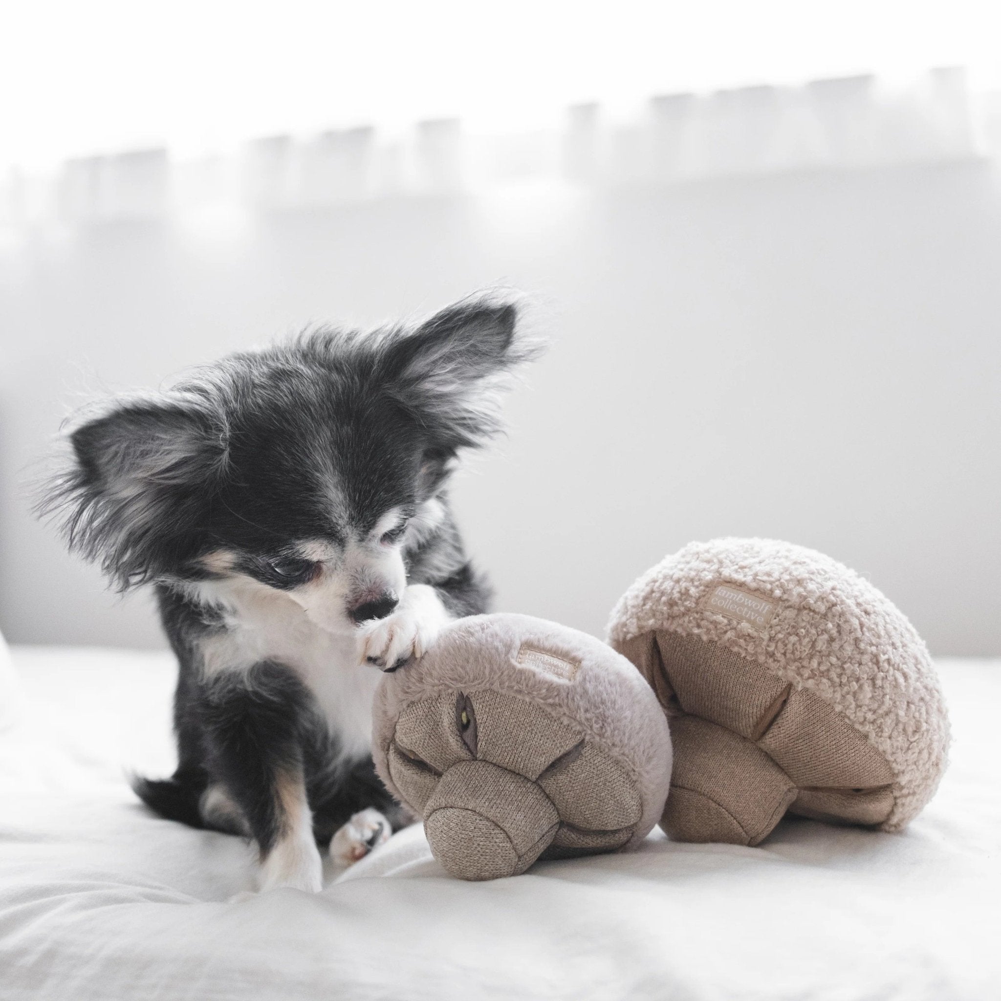 Enrichment Dog Toy - Guu Mushroom - Lambwolf Collective - La Maison Mou