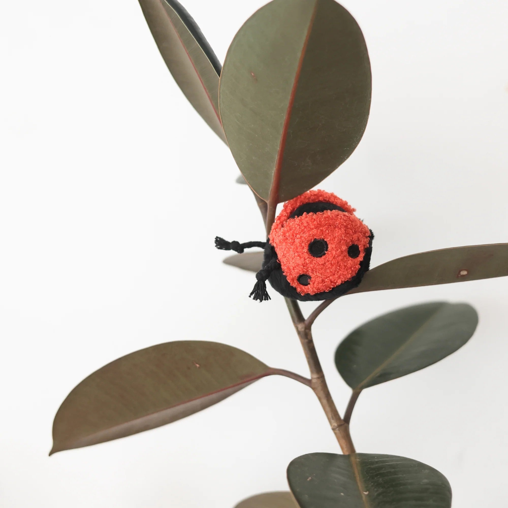 Enrichment Dog Toy - Ladybug - Lambwolf Collective - La Maison Mou