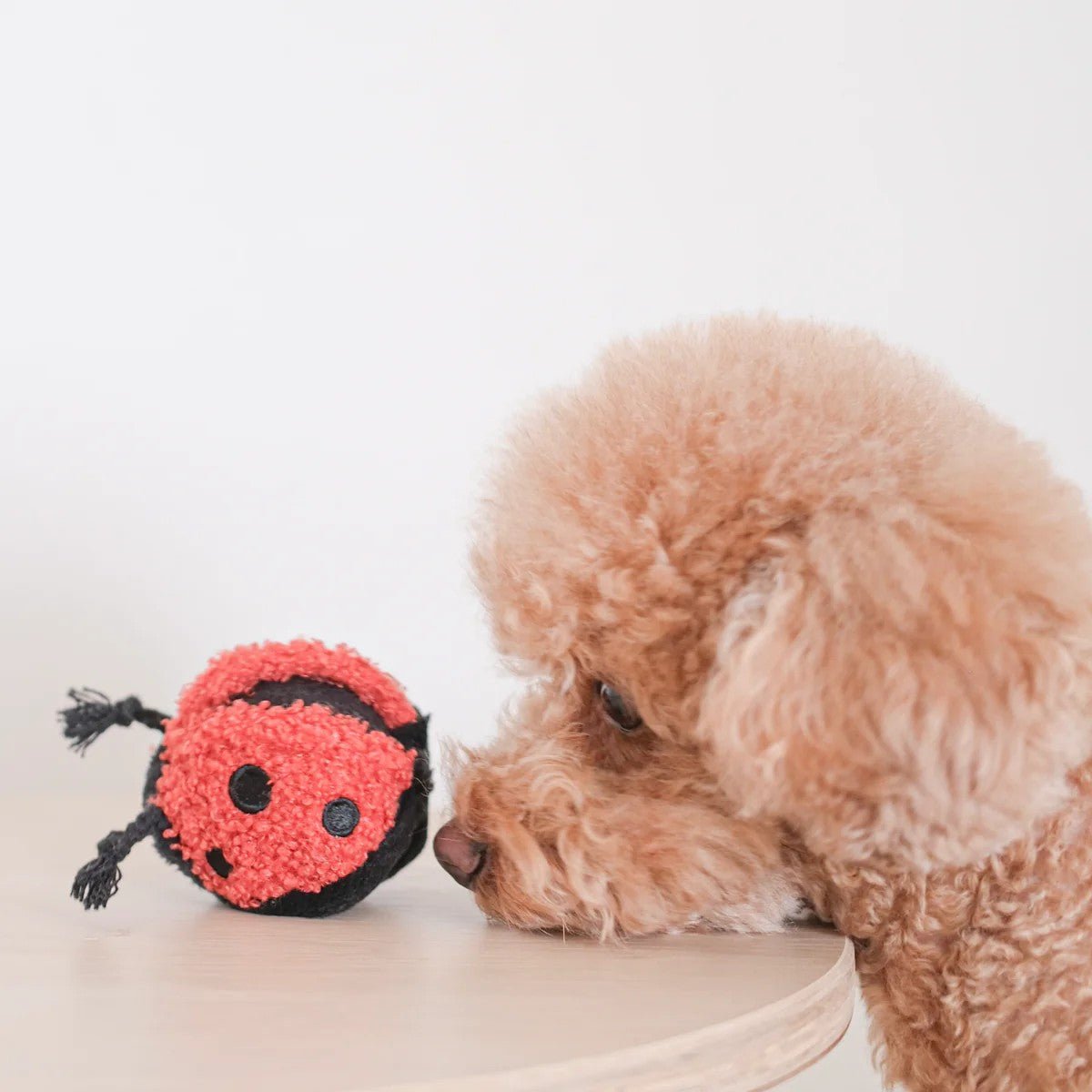 Enrichment Dog Toy - Ladybug - Lambwolf Collective - La Maison Mou