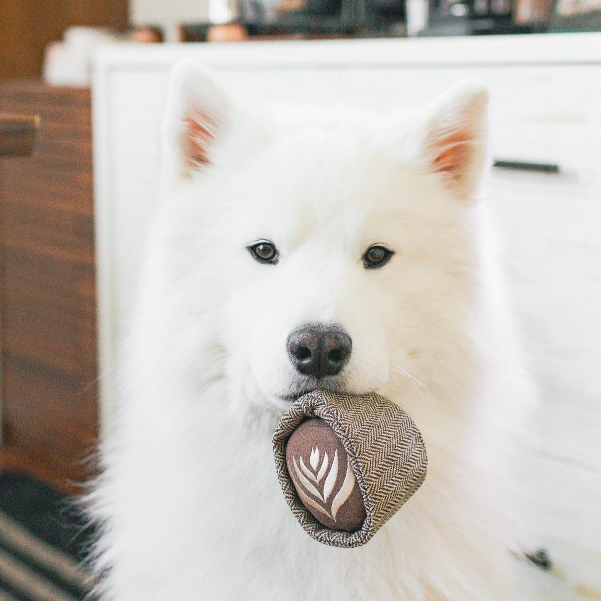 Enrichment Dog Toy - Latte Pop - Lambwolf Collective - La Maison Mou