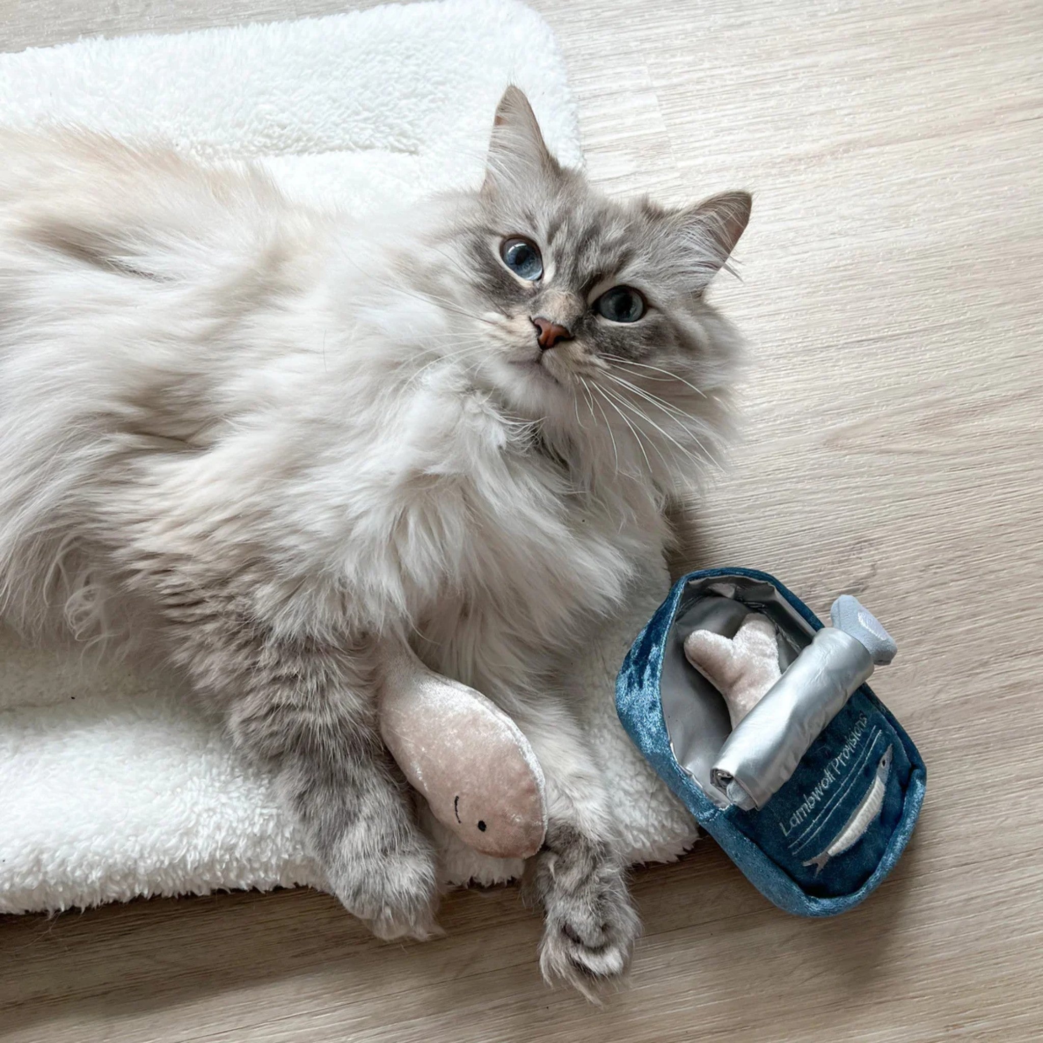 A beautiful long-haired cat with blue eyes lying on a white fleece pet mat, holding a small plush sardine next to the opened interactive crinkle tin toy.