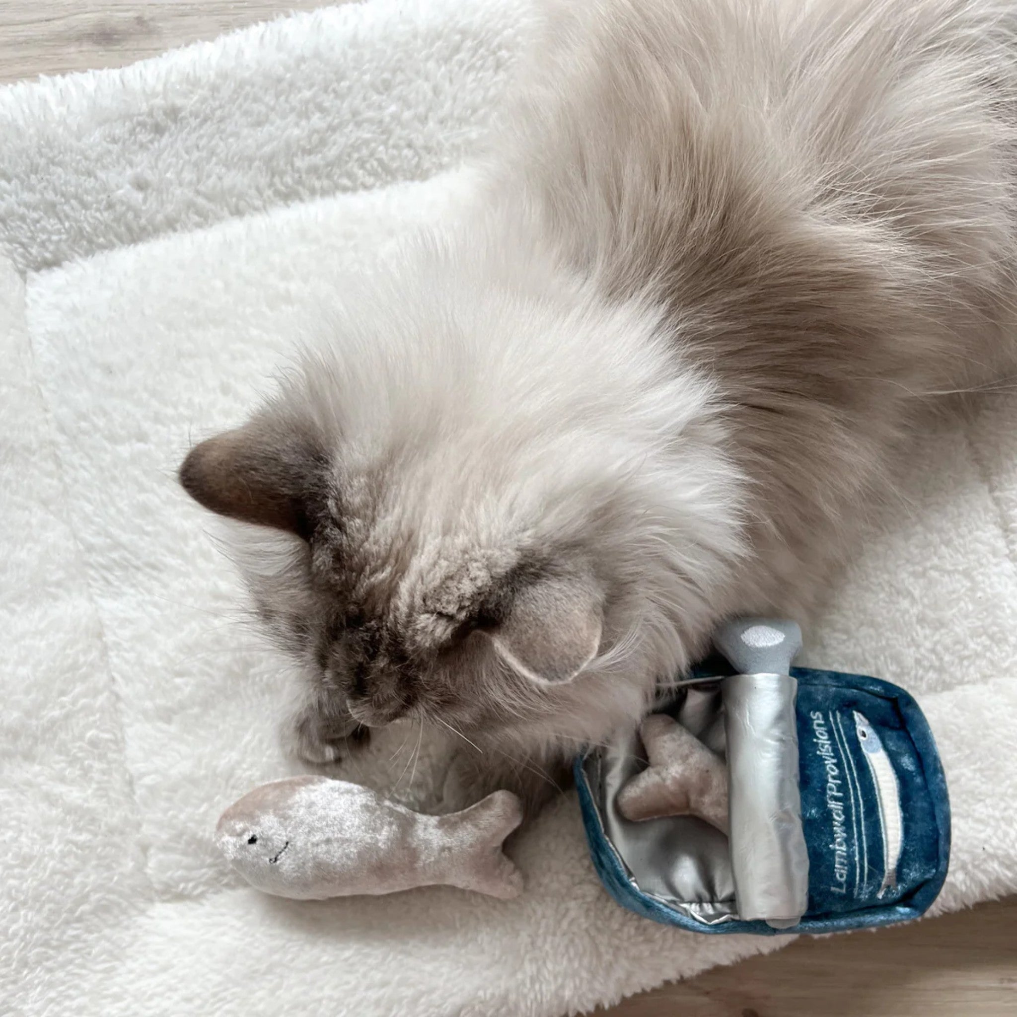 Overhead view of a cream-colored cat focused on playing with the plush velvet fish and interactive crinkle sardine can on a white fleece blanket.