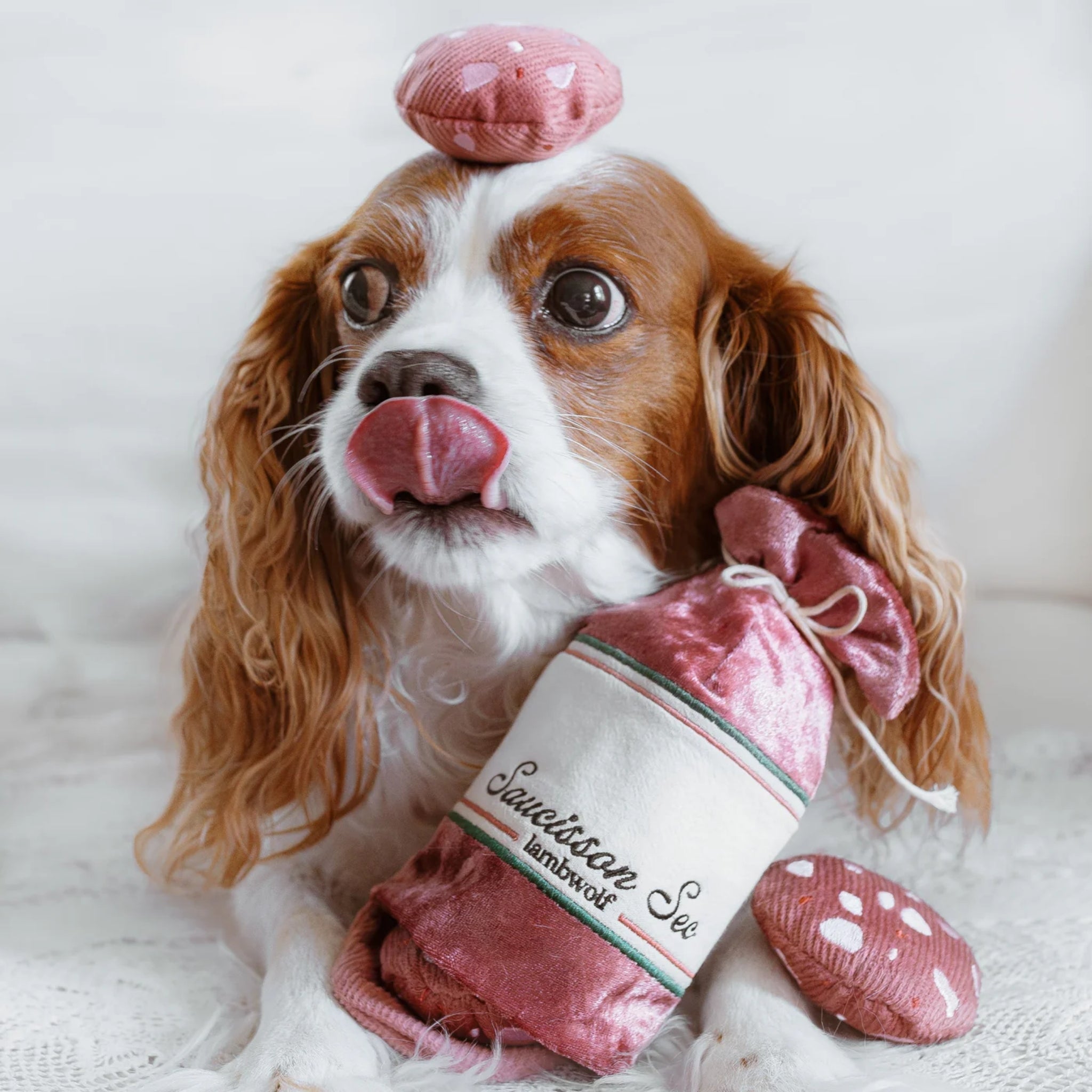 A close-up portrait of a Cavalier King Charles Spaniel licking its nose, with an interactive plush sausage pouch toy and corduroy treat slices resting between its paws.