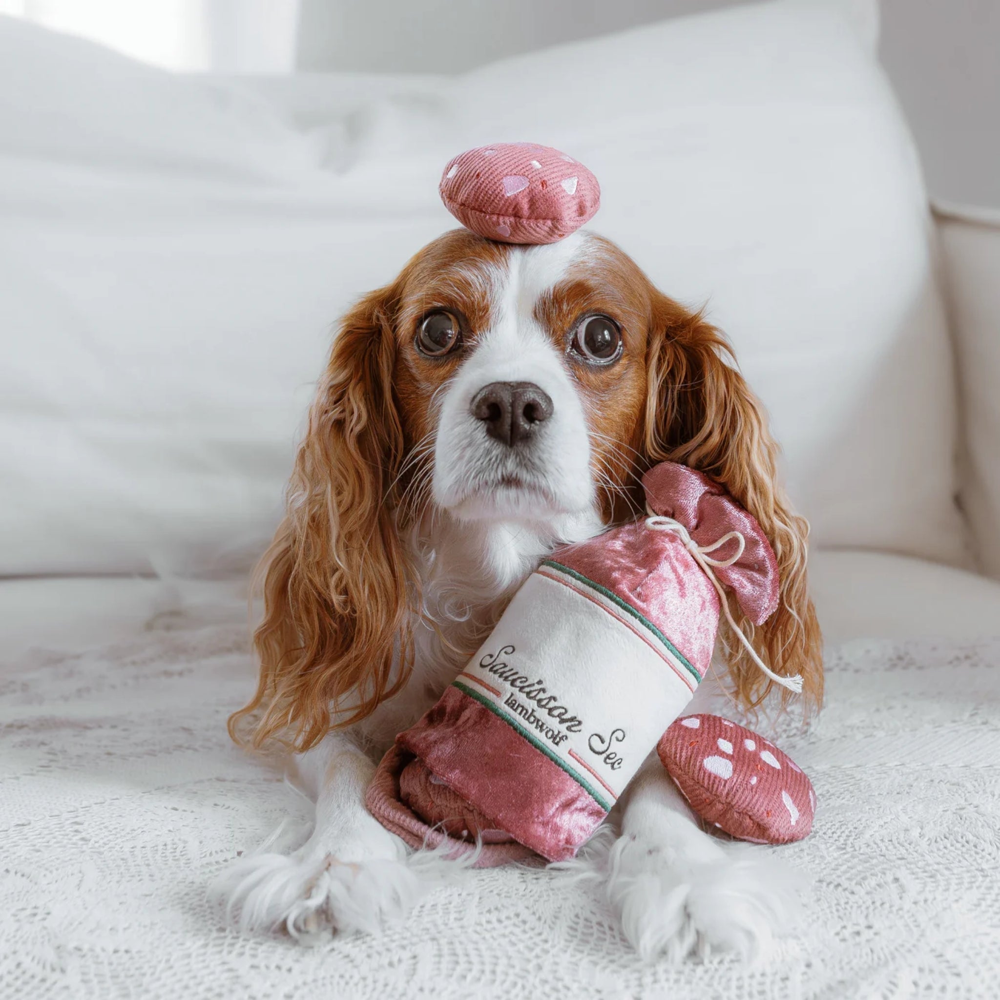 A Cavalier King Charles Spaniel lying on a white lace blanket, balancing a small plush sausage slice on its head while posing with the pink velvet Saucisson Sec pocket toy.