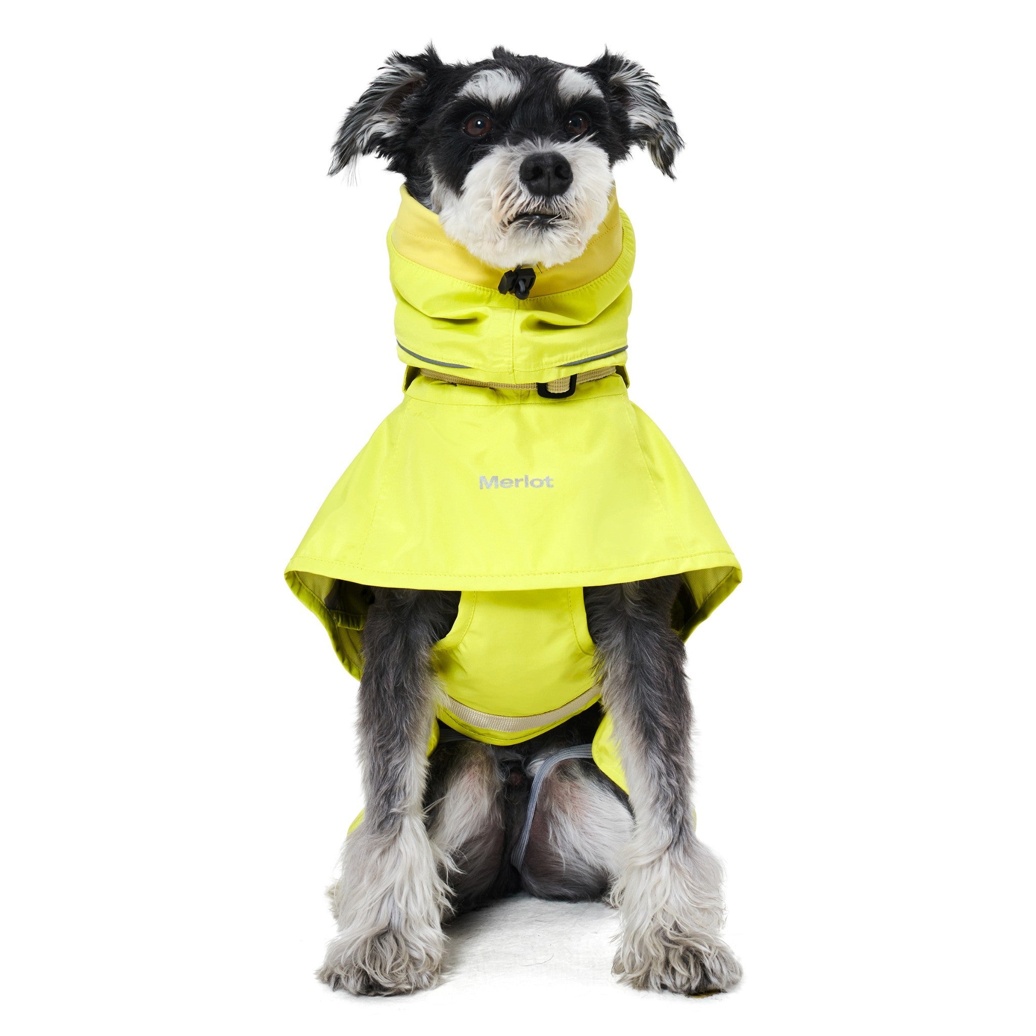 Direct front view of a black and white dog sitting upright while wearing the bright lemon yellow Merlot Ain™ dog raincoat, displaying the wide chest protection cape and reflective printed branding.
