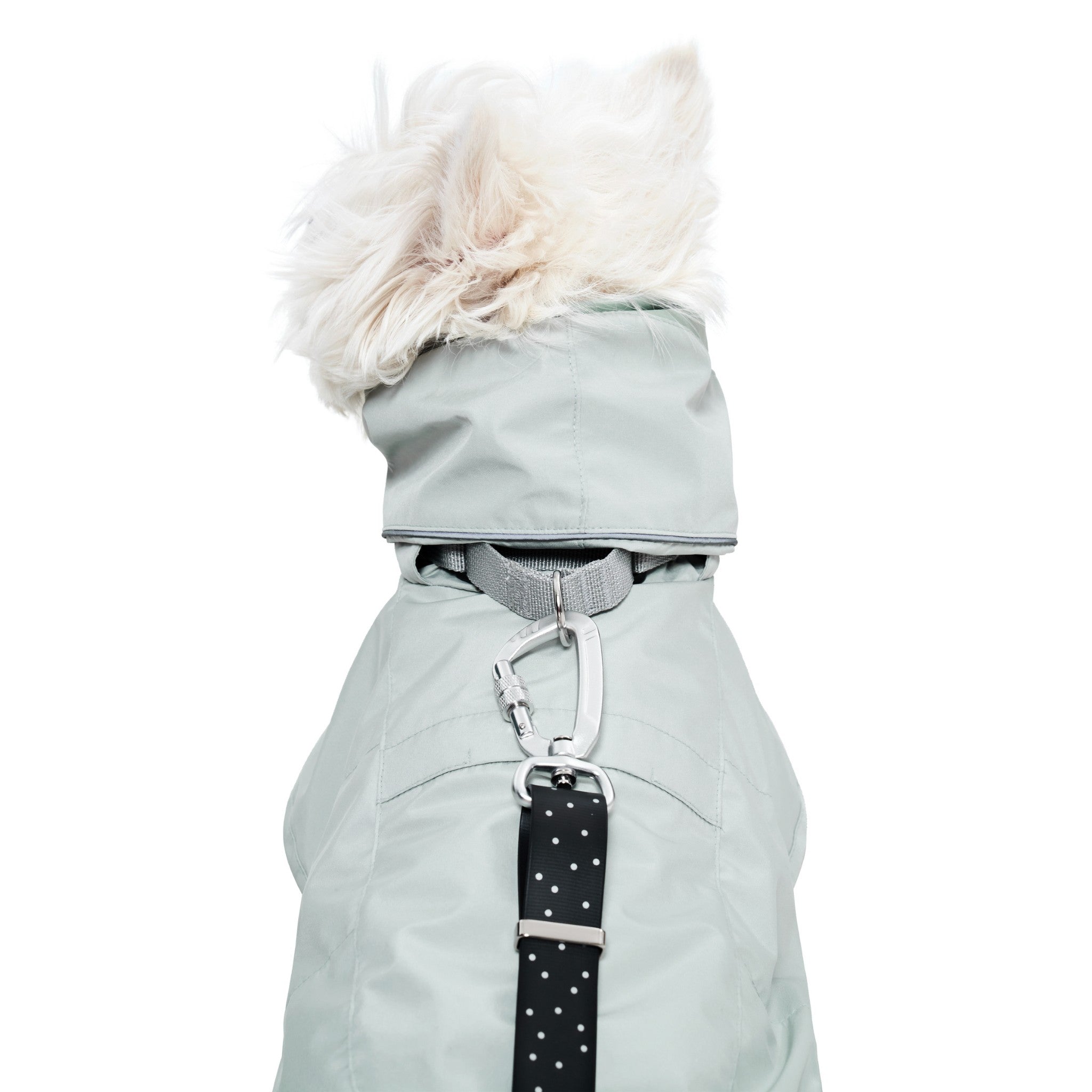 A direct back view focusing on the neck and shoulder area of the lime stone Merlot Ain™ raincoat, demonstrating how a leash carabiner attaches seamlessly through the integrated harness system loop.
