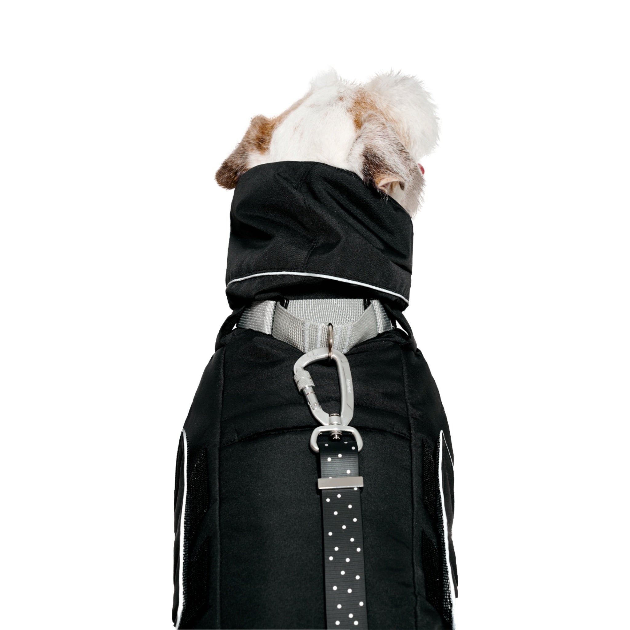 A close-up view from behind showing a heavy-duty silver carabiner clip attached to the integrated harness loop on the collar of the black dog puffer coat.