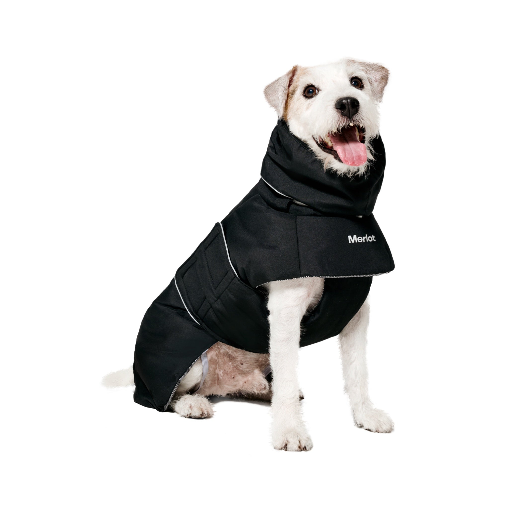 A happy scruffy terrier sitting down and facing forward, showcasing the protective high cowl neck and white contrast branding on the black Merlot winter dog coat.