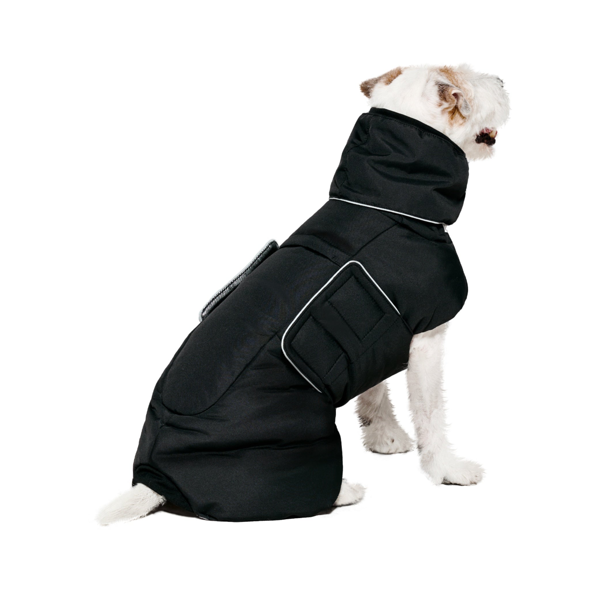 A three-quarter back view of a scruffy terrier sitting down, showcasing the full back coverage and clean white piping details of the black Merlot Ain™ Puffer dog coat.