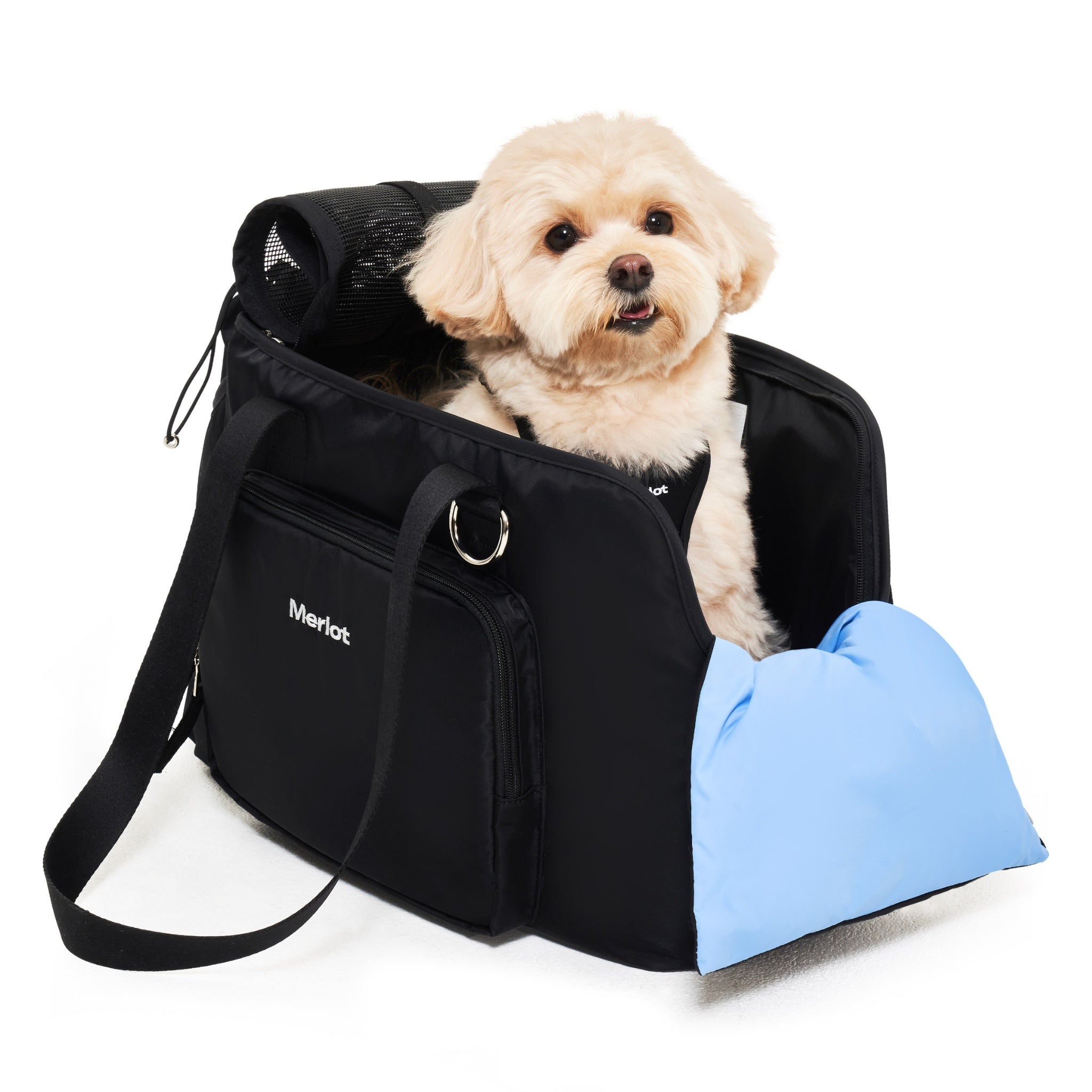 A three-quarter view of a small light brown fluffy puppy sitting comfortably inside the open black Merlot Mermer carrier bag with the light blue cushion insert.
