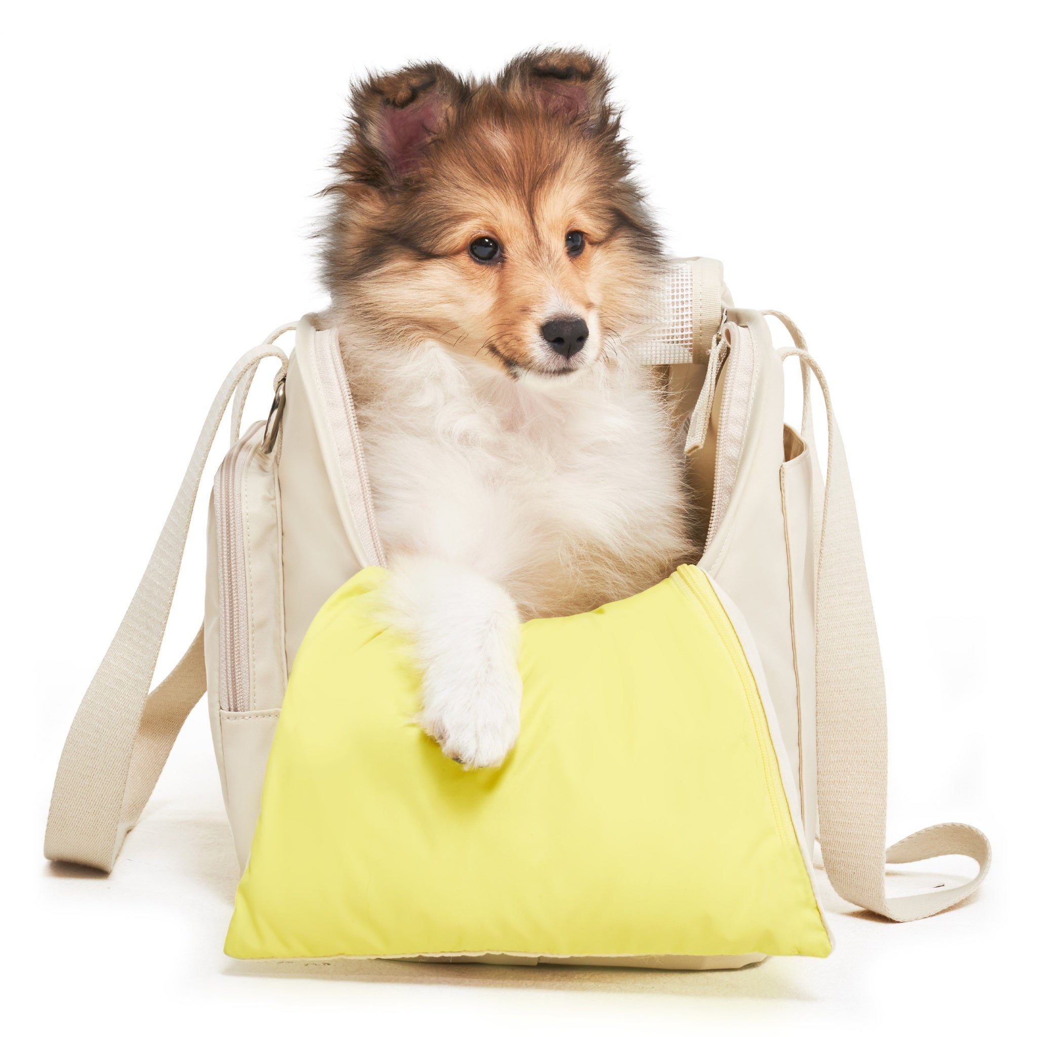 A direct front studio view of a fluffy sable puppy sitting inside the open lemon cream Merlot Mermer dog carrier bag, resting its white paw comfortably over the bright yellow comfort insert cushion.