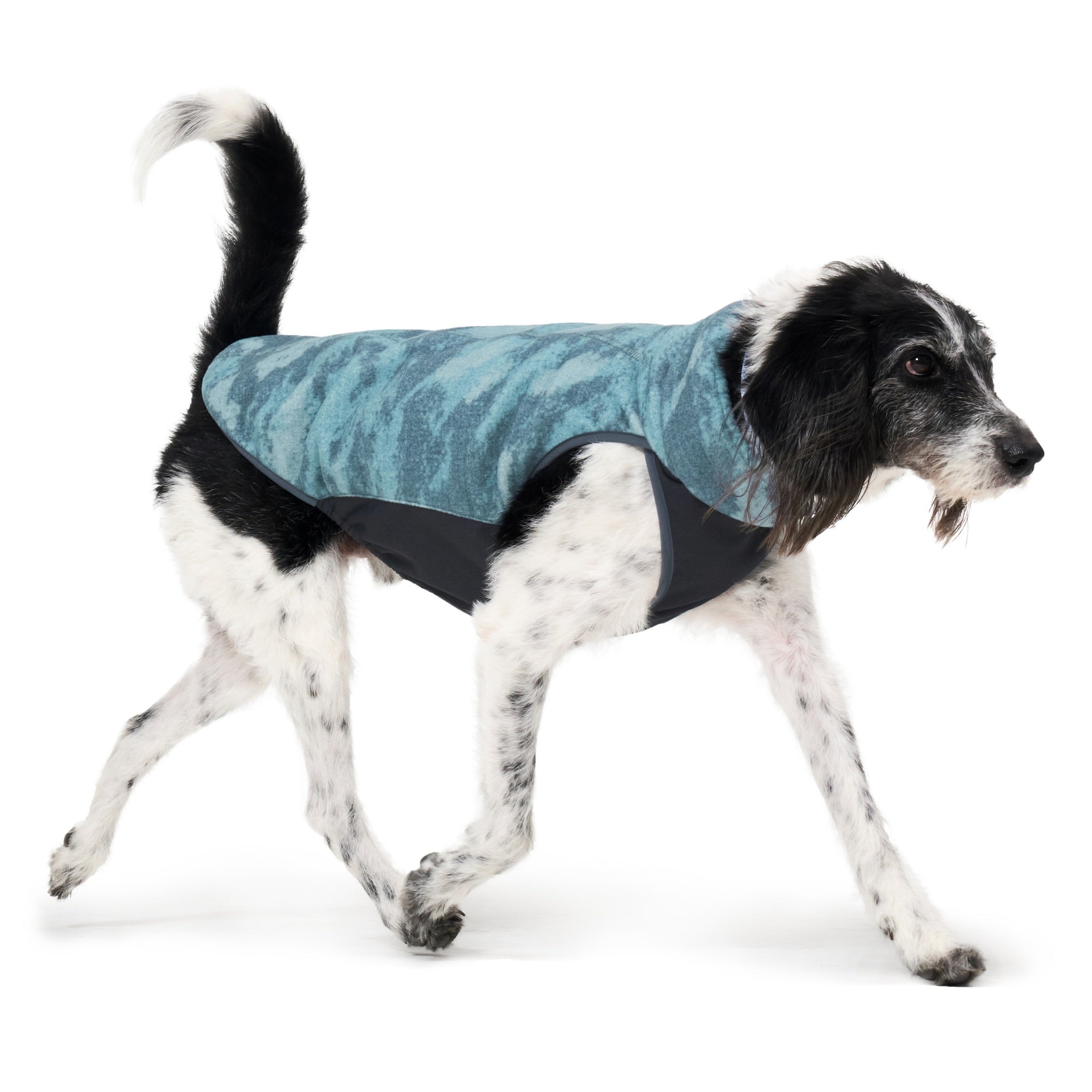 An action studio shot of a black and white dog mid-stride, demonstrating the lightweight flexibility and streamlined coverage of the forest green printed fleece Merlot dog jacket.