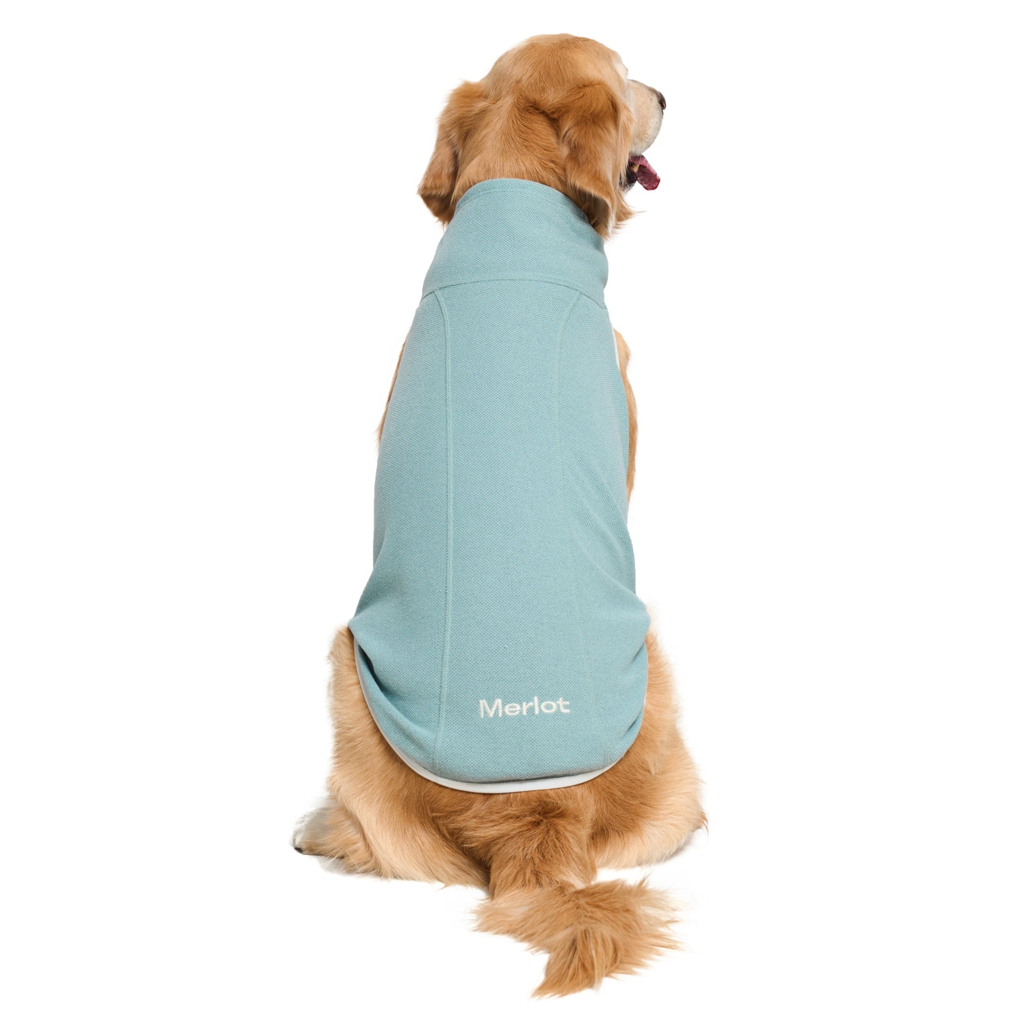 Rear view of a Golden Retriever sitting down, showcasing the full back coverage, contoured spine lines, and clean white trim of the mint green Merlot Shelter Layer dog jacket with white embroidered branding at the hem.