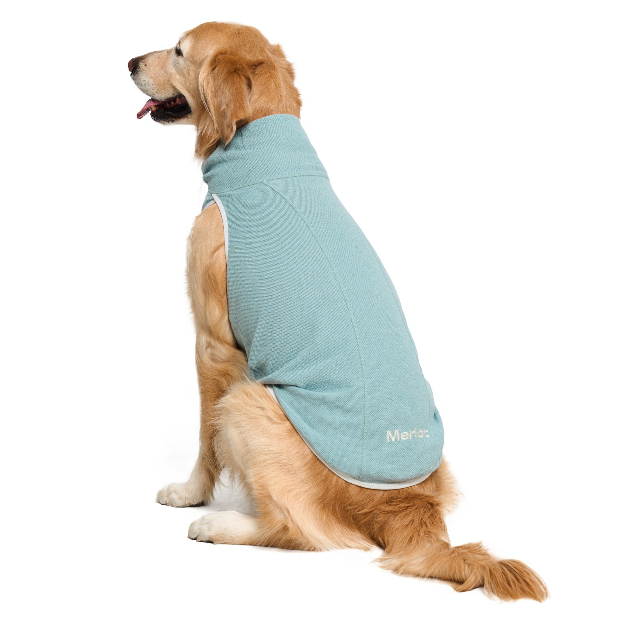 Rear side view of a Golden Retriever sitting down, highlighting the clean spine seam, white trim, and subtle tonal embroidered Merlot branding on the lower back of the mint green jacket.