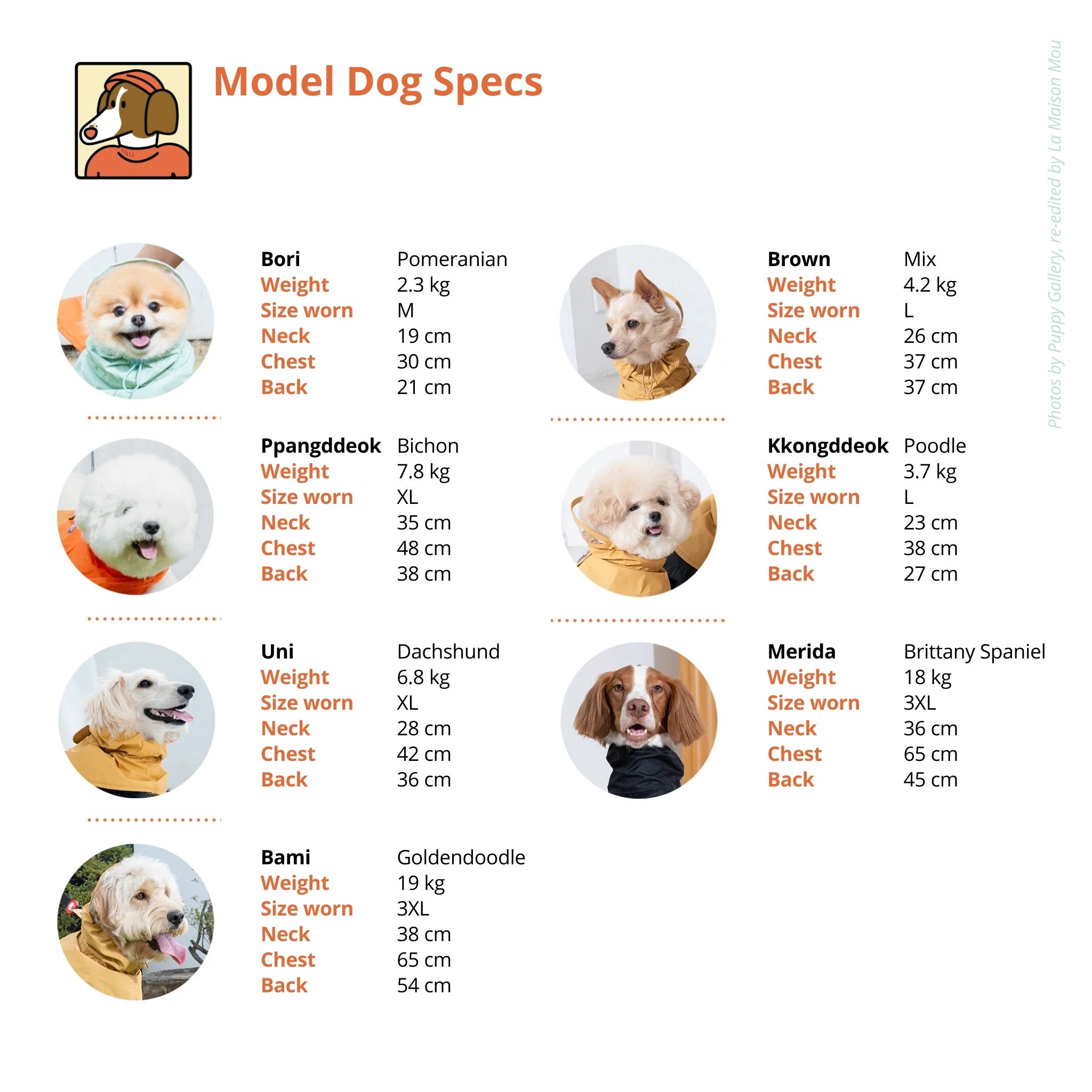 A model dog specs guide for the water shield poncho raincoat, providing breed weights and sizing examples for a Pomeranian, Bichon, Dachshund, Poodle, and Goldendoodle.