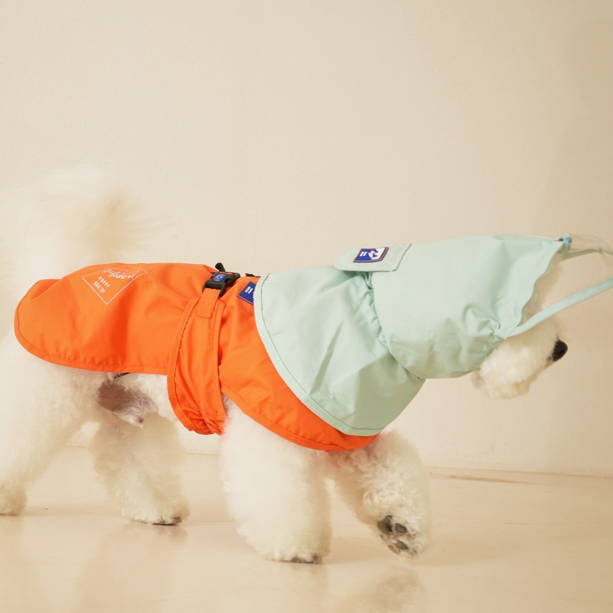 Side profile view of a white dog walking in the Puppy Gallery orange water shield raincoat with the mint green extended poncho hood and clear visor.