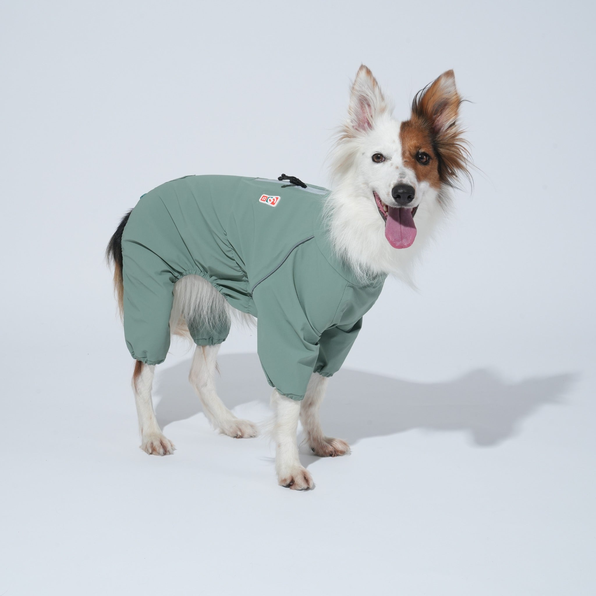 A brown and white dog standing against a white backdrop, showcasing the standalone full-body fit of the khaki green Puppy Gallery rain suit without the hood attached.
