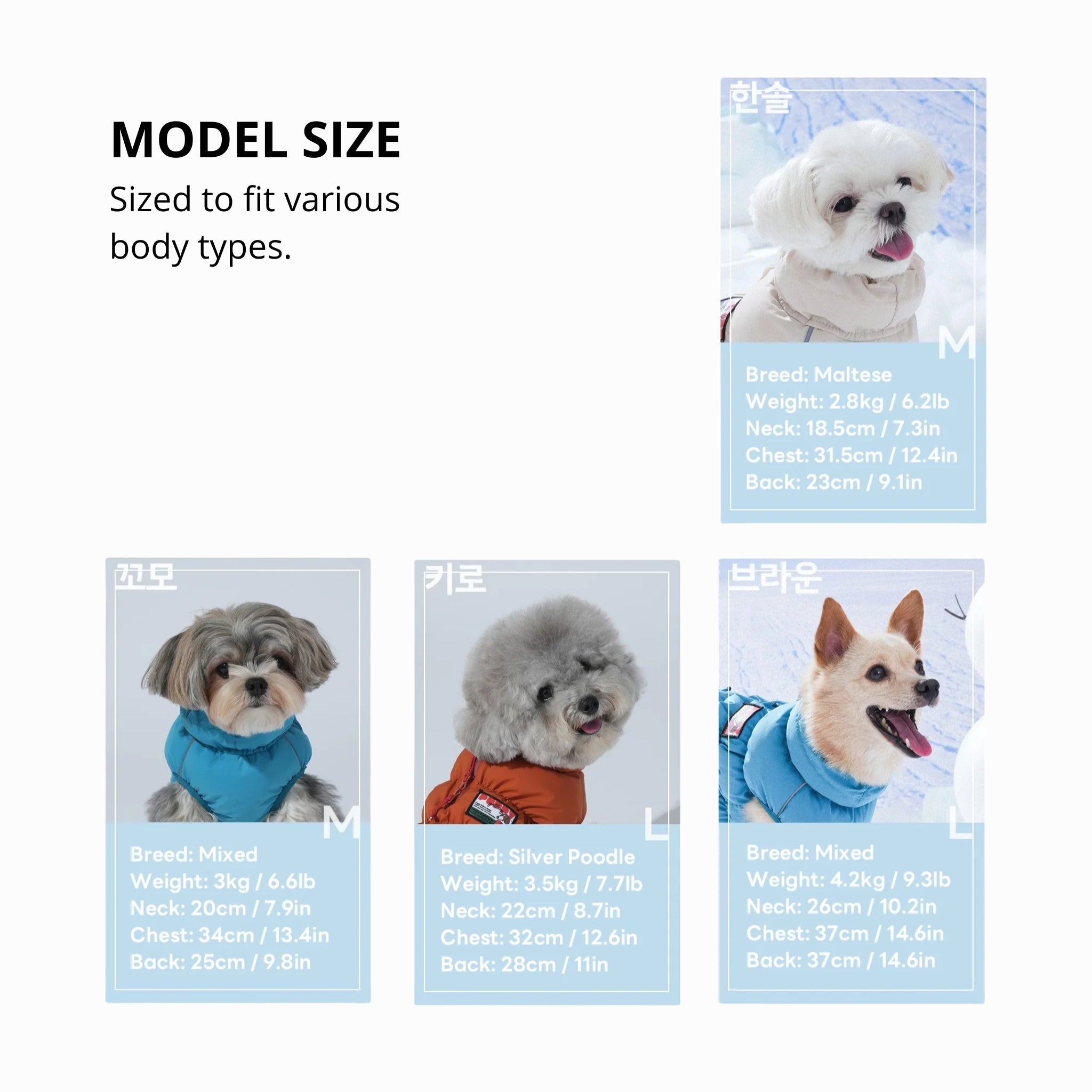 A model size guide for small dog breeds featuring a Maltese, a silver poodle, and small mixed-breed dogs wearing the Kiroro Cloud Padding winter vest in beige, orange, and blue.