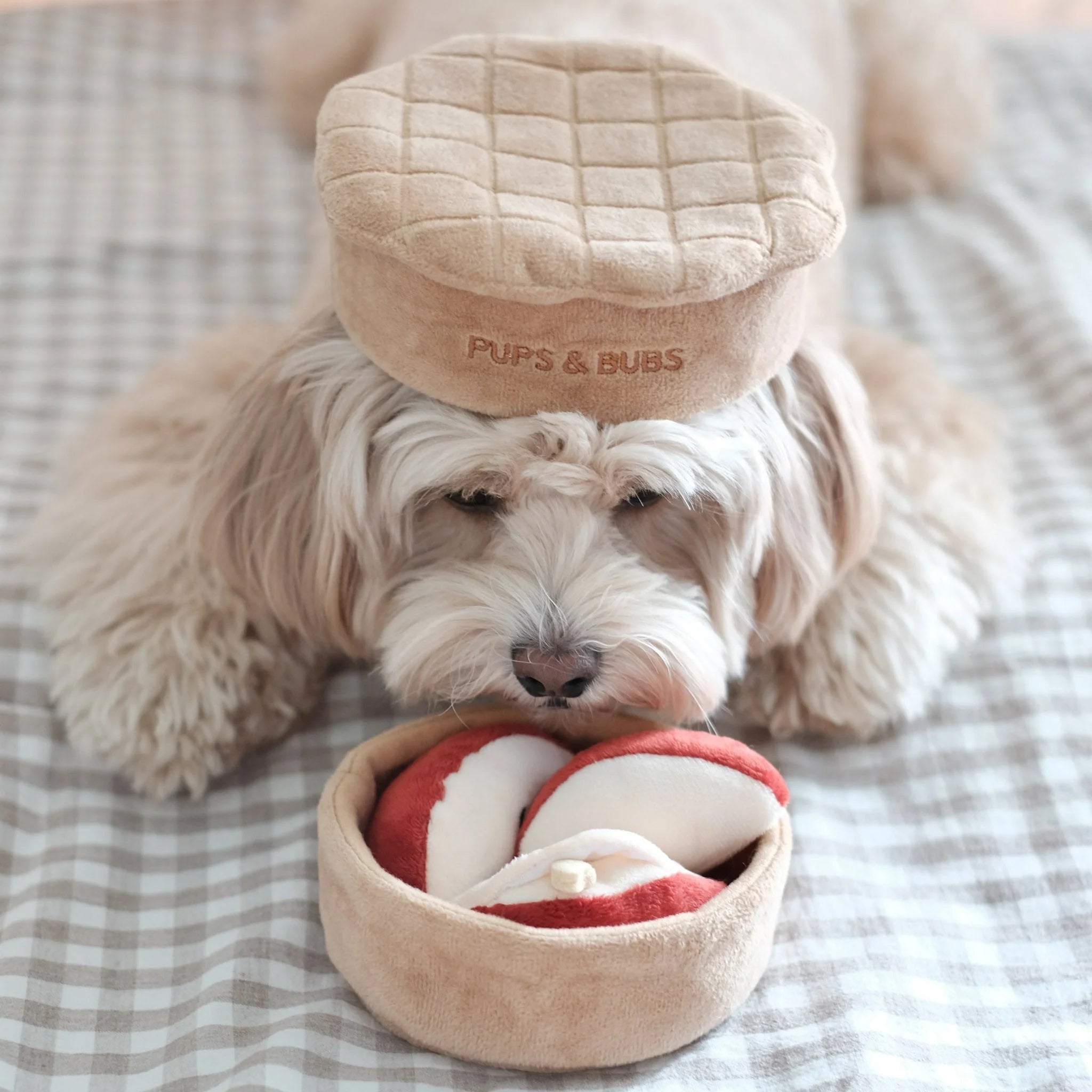 A fluffy light-colored dog lying on a checkered blanket with the tan plush pie crust lid from the Pups and Bubs toy resting playfully on its head like a hat.