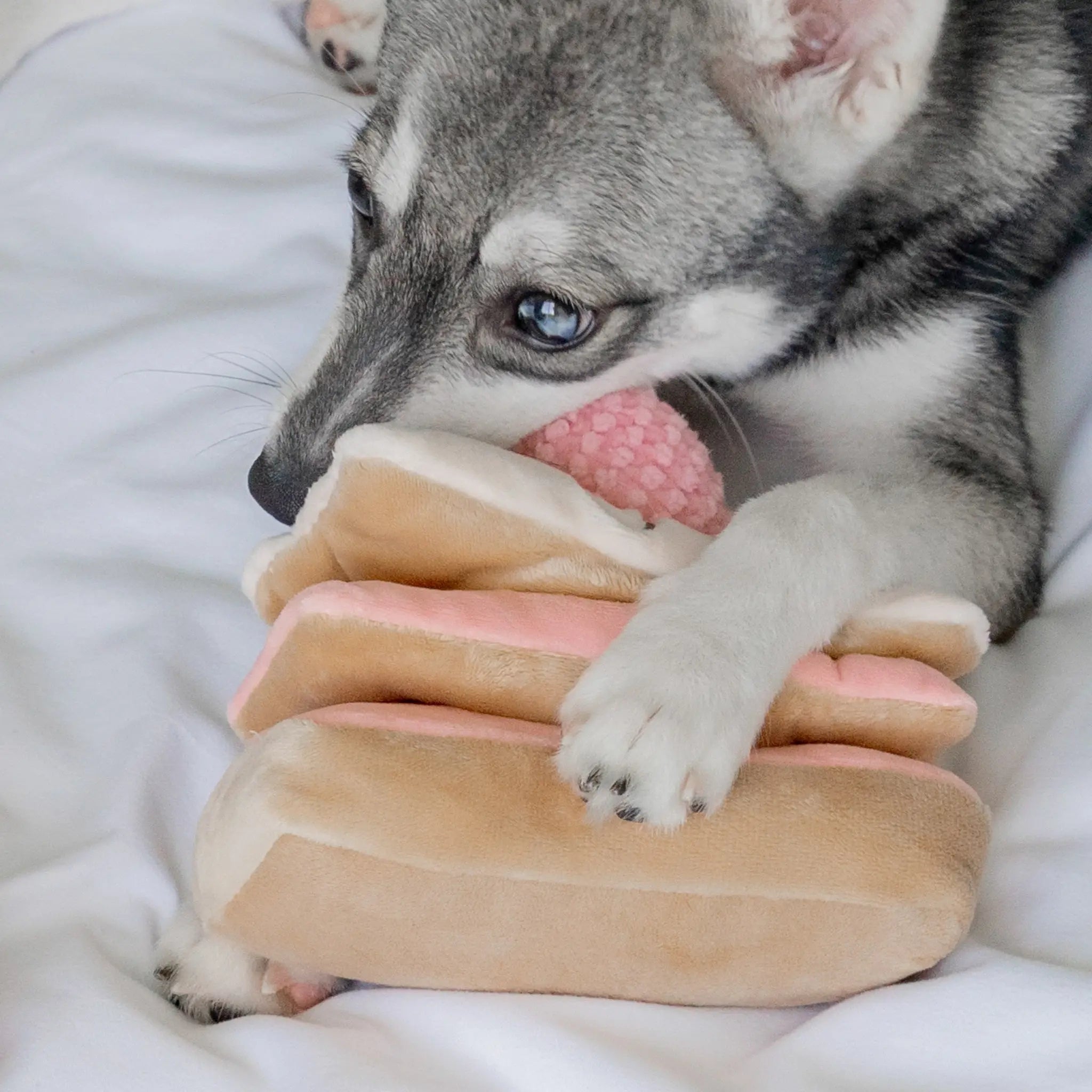 Close-up of a puppy using its paws to hold down the multi-layered strawberry mille-feuille plush toy while searching the fabric pastry folds for treats.