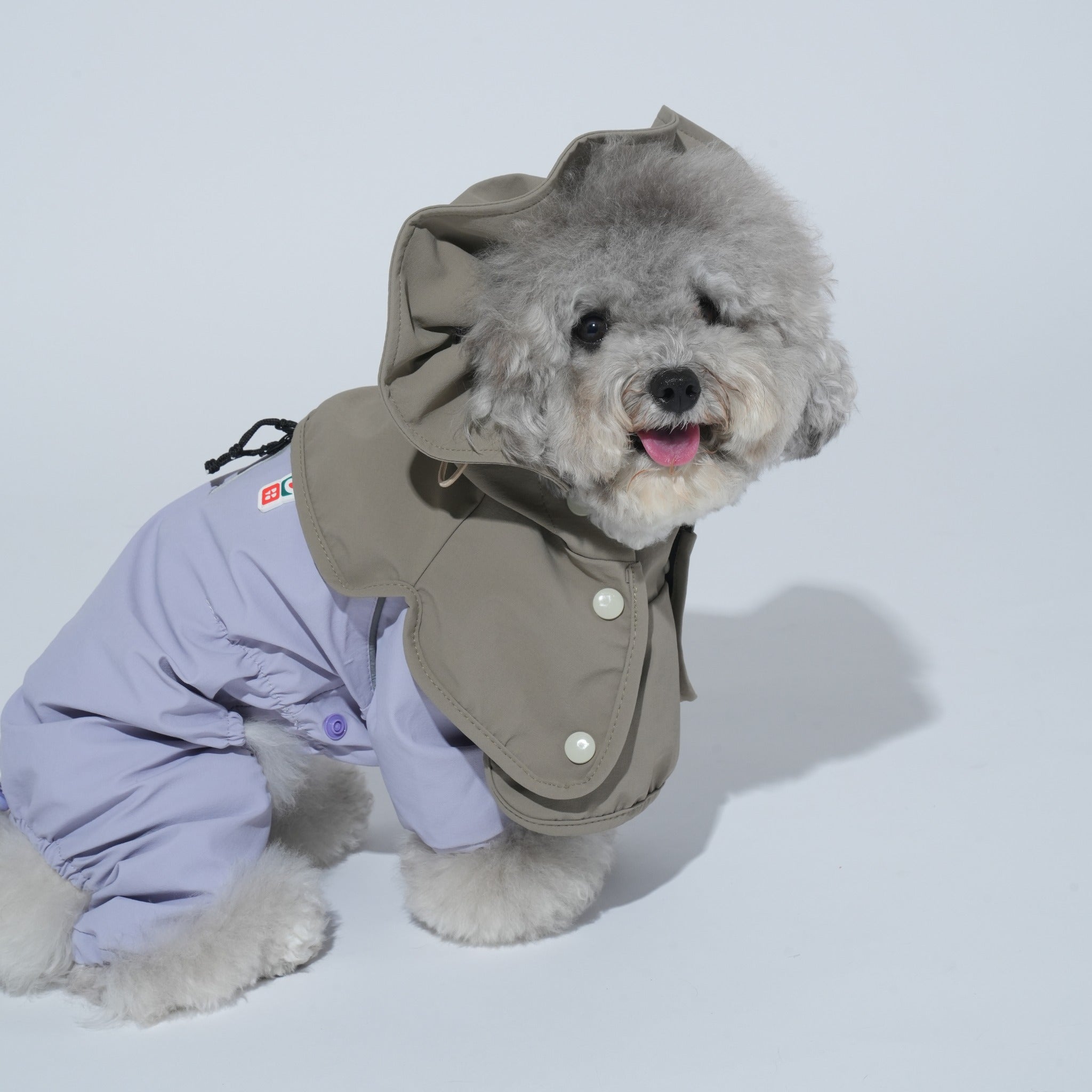 A small grey poodle modeling the light lavender Puppy Gallery Go Pro Weather Suit with its adjustable full-body coverage and contrasting taupe waterproof hood.